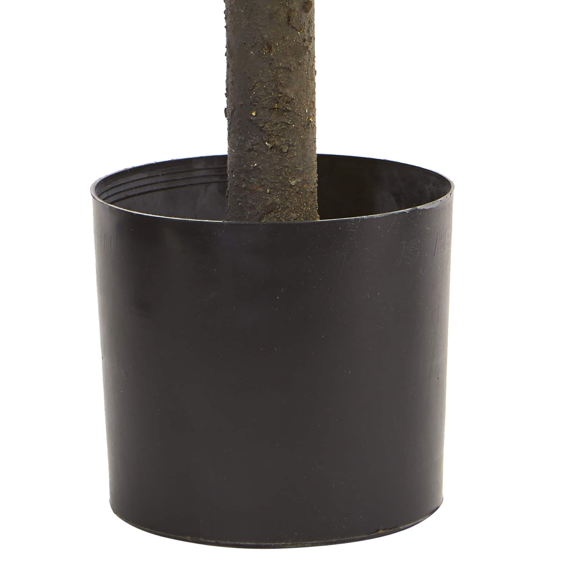 21" Potted Boxwood Ball Topiary Tree