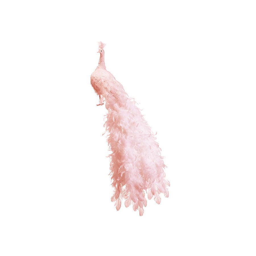 55" Life-Size Pink Peacock with Closed Tail Feathers Decoration