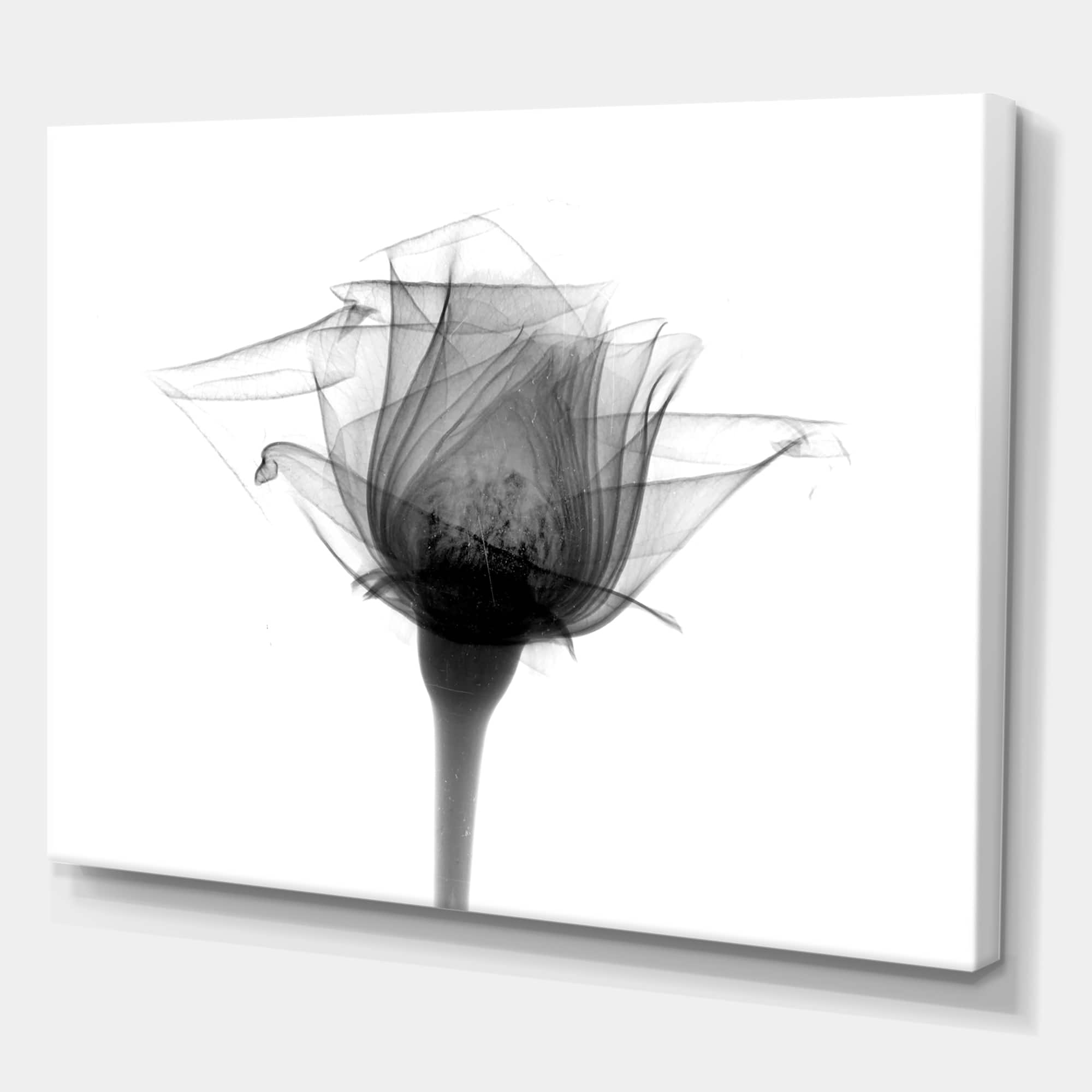 Designart - Rose #10 X-Ray - Cottage Canvas Artwork