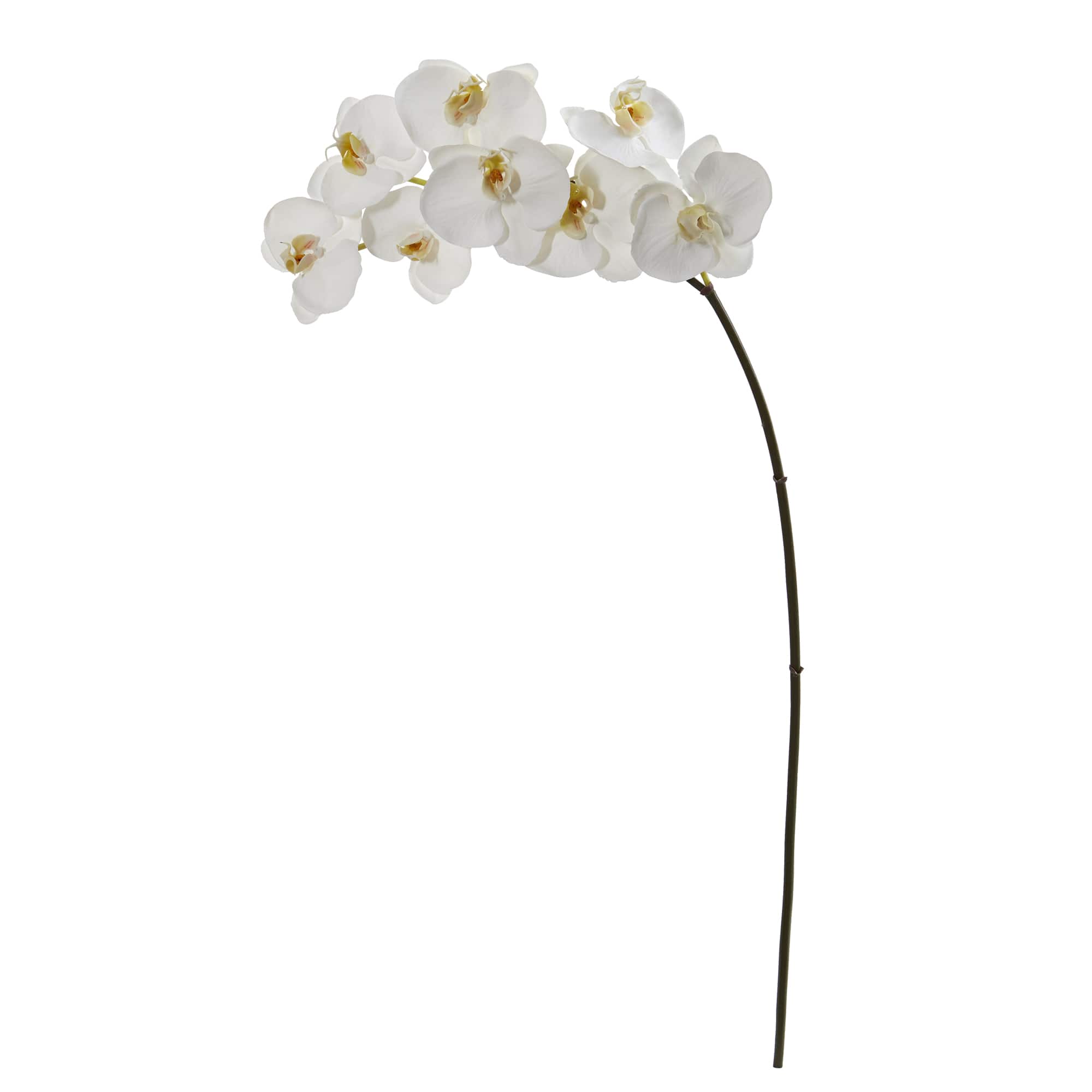 35&#x22; Phalaenopsis Orchid Artificial Flower (Set of 6)