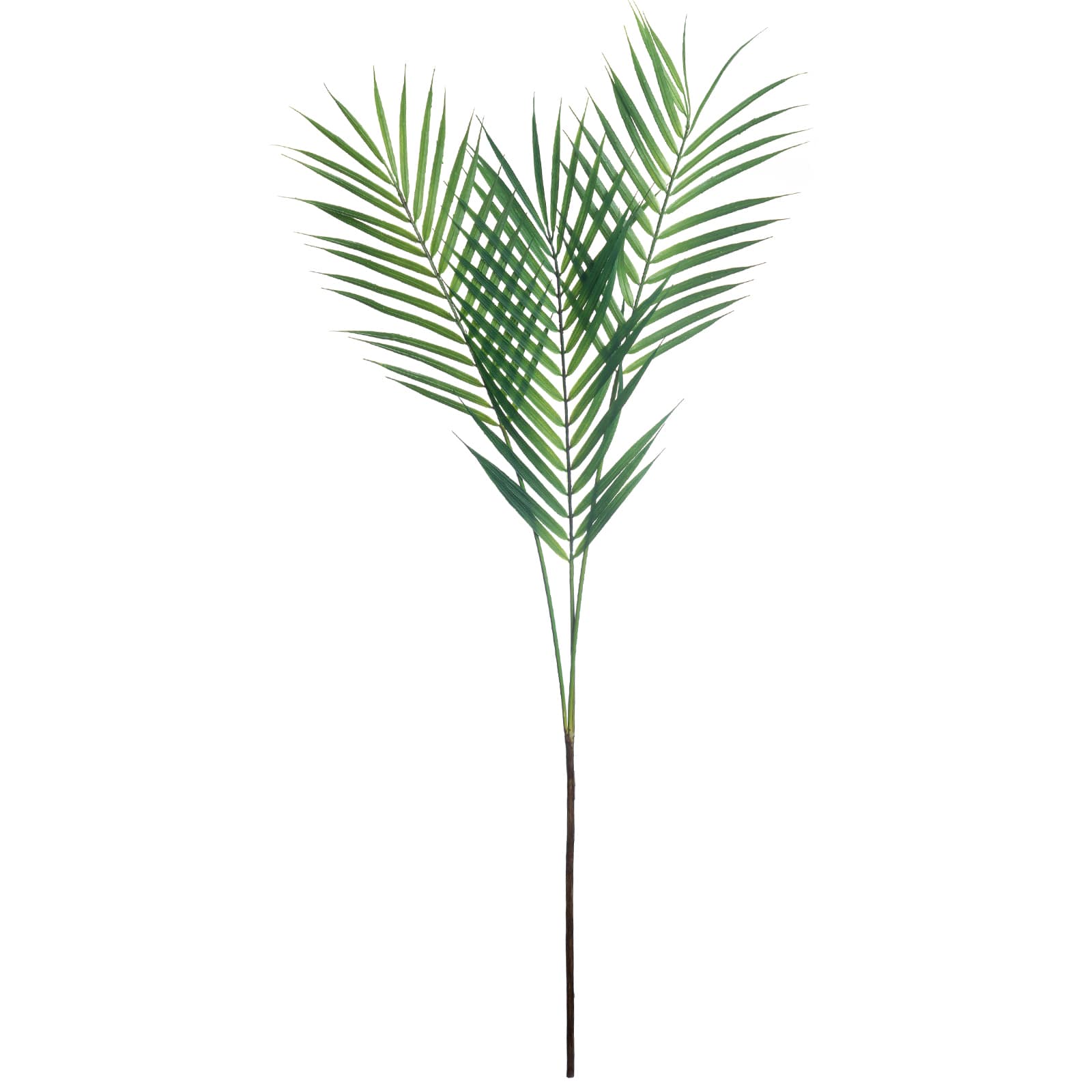 35&#x22; Green Areca Palm Frond Stem by Ashland&#xAE;
