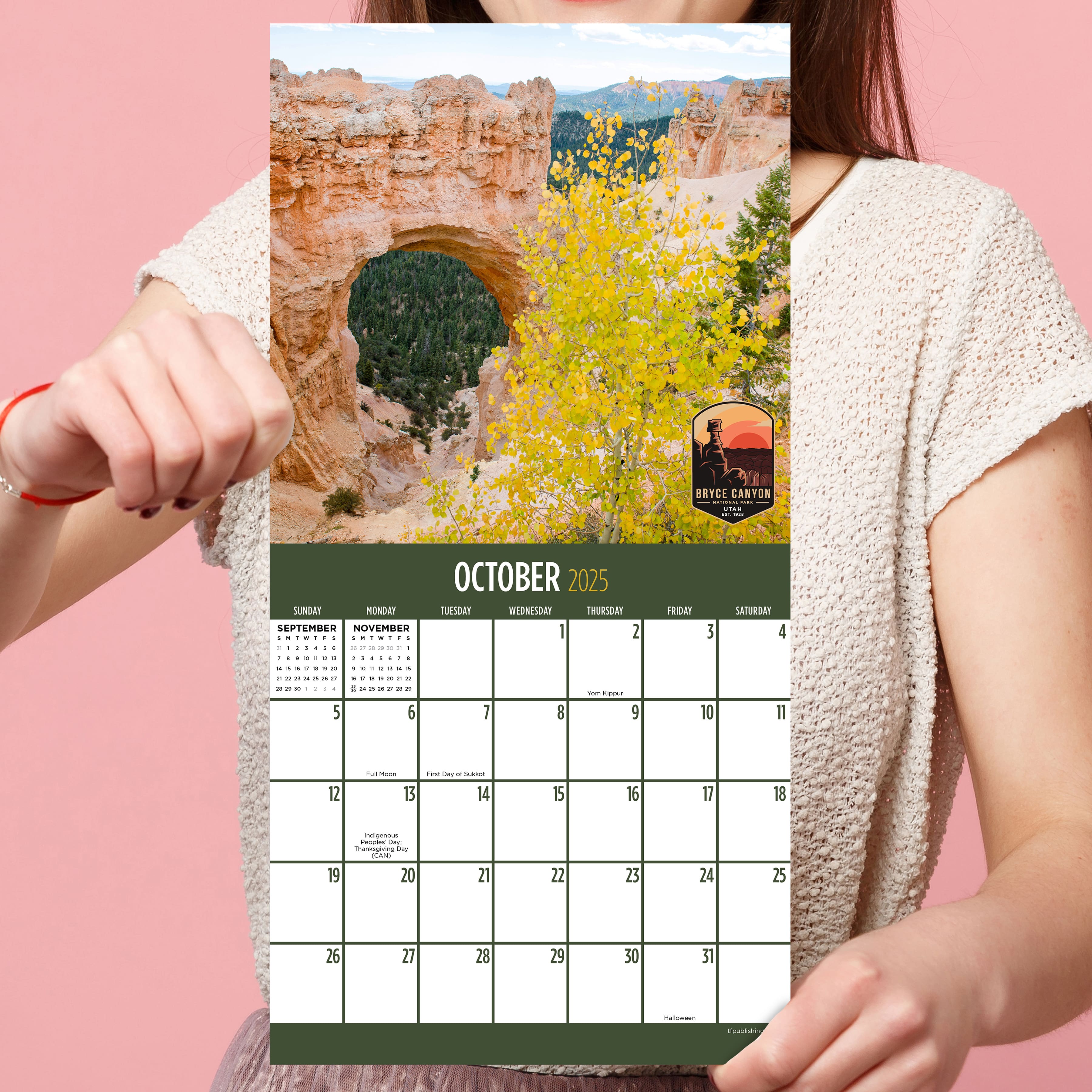 TF Publishing 2025 National Parks Mini Calendar | Michaels