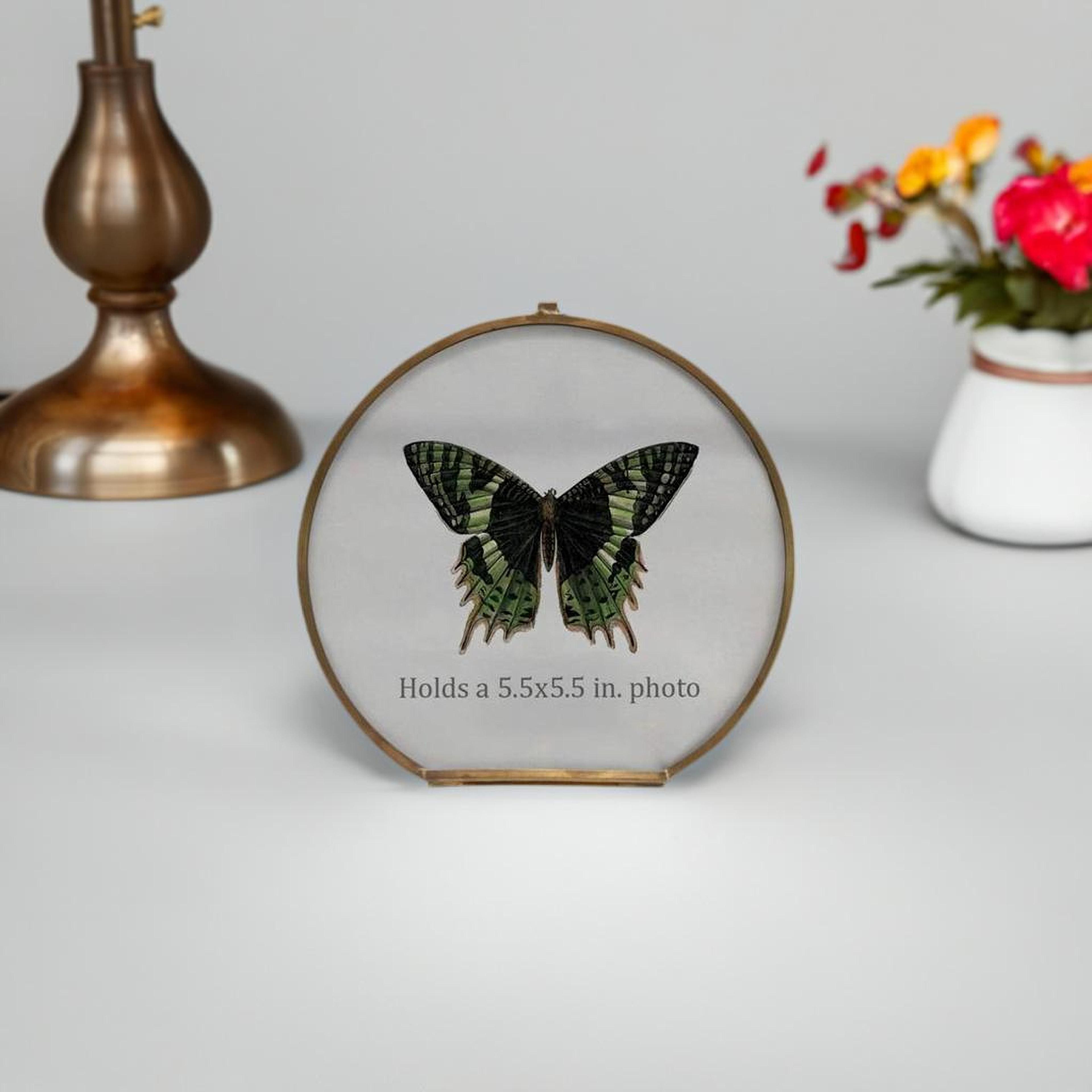Hello Honey&#xAE; Brass &#x26; Glass 5.5&#x22; x 5.5&#x22; Photo Frame