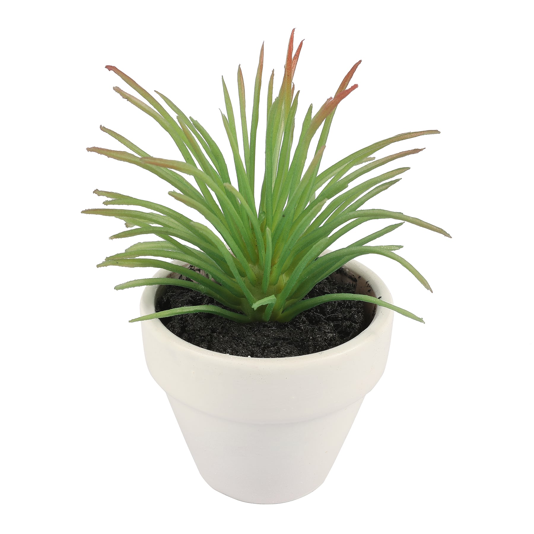 3.5&#x22; Potted Grass Succulent by Ashland&#xAE;