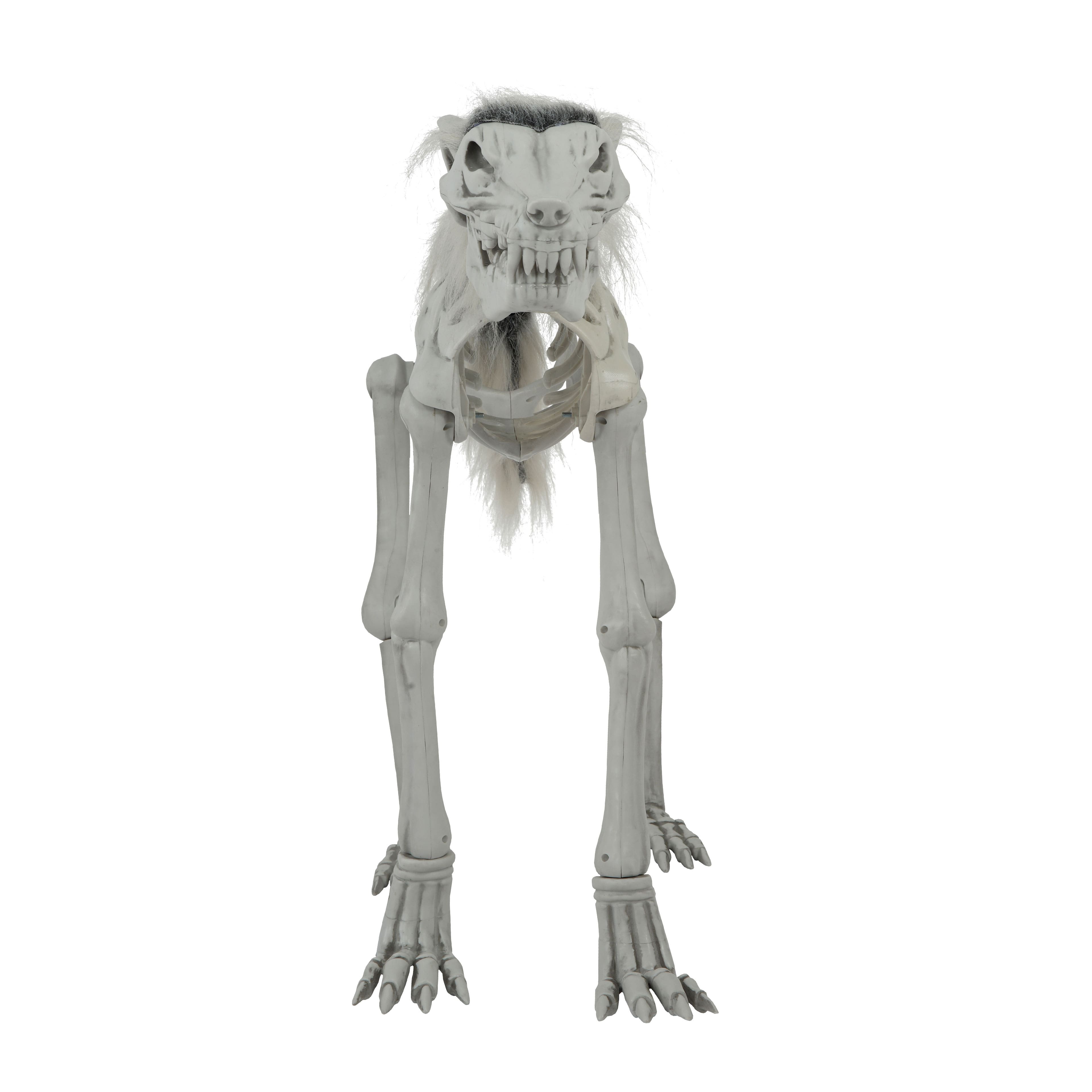 34.5&#x22; LED Animated Wolf Skeleton by Ashland&#xAE;