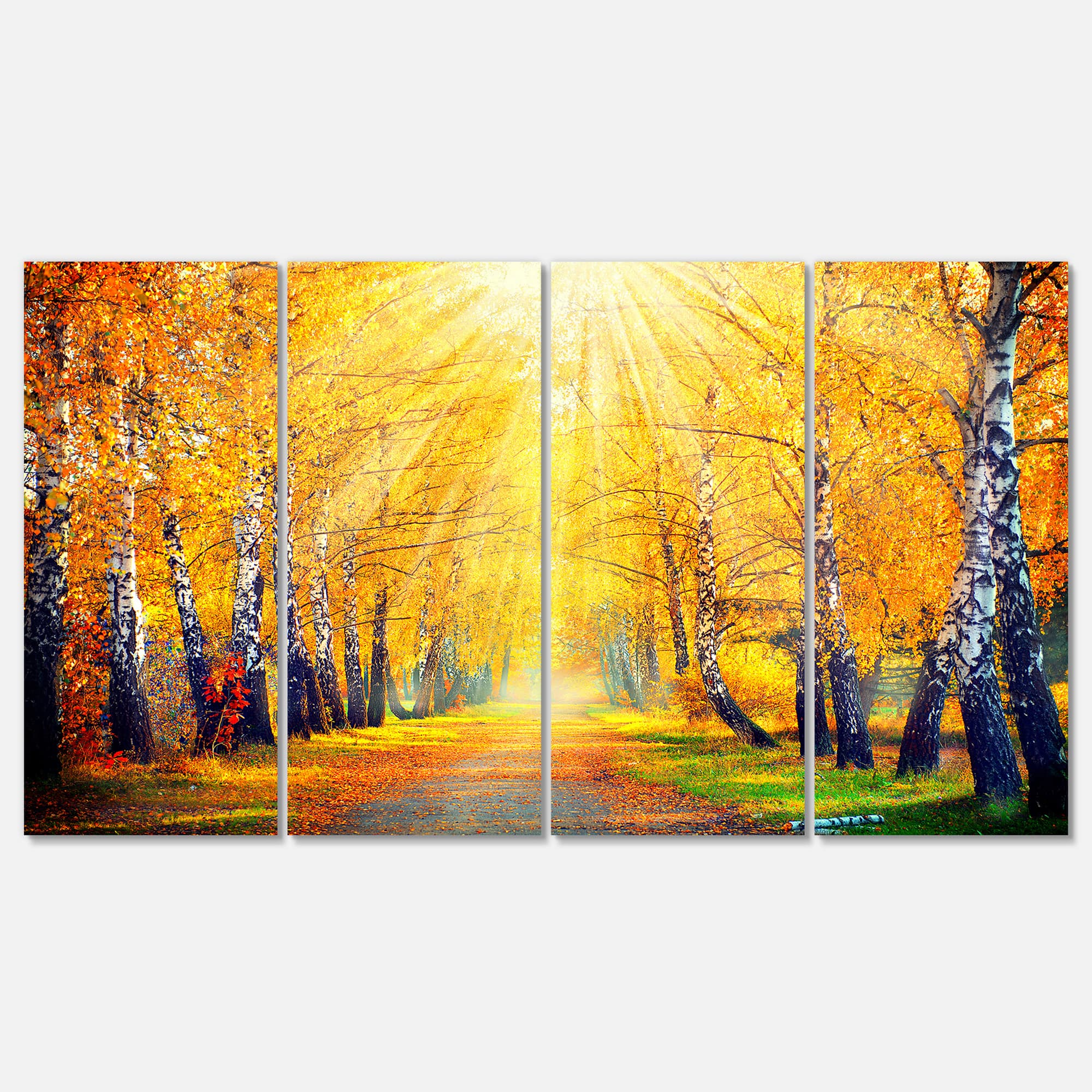 Designart - Yellow Autumn Trees in Sunray