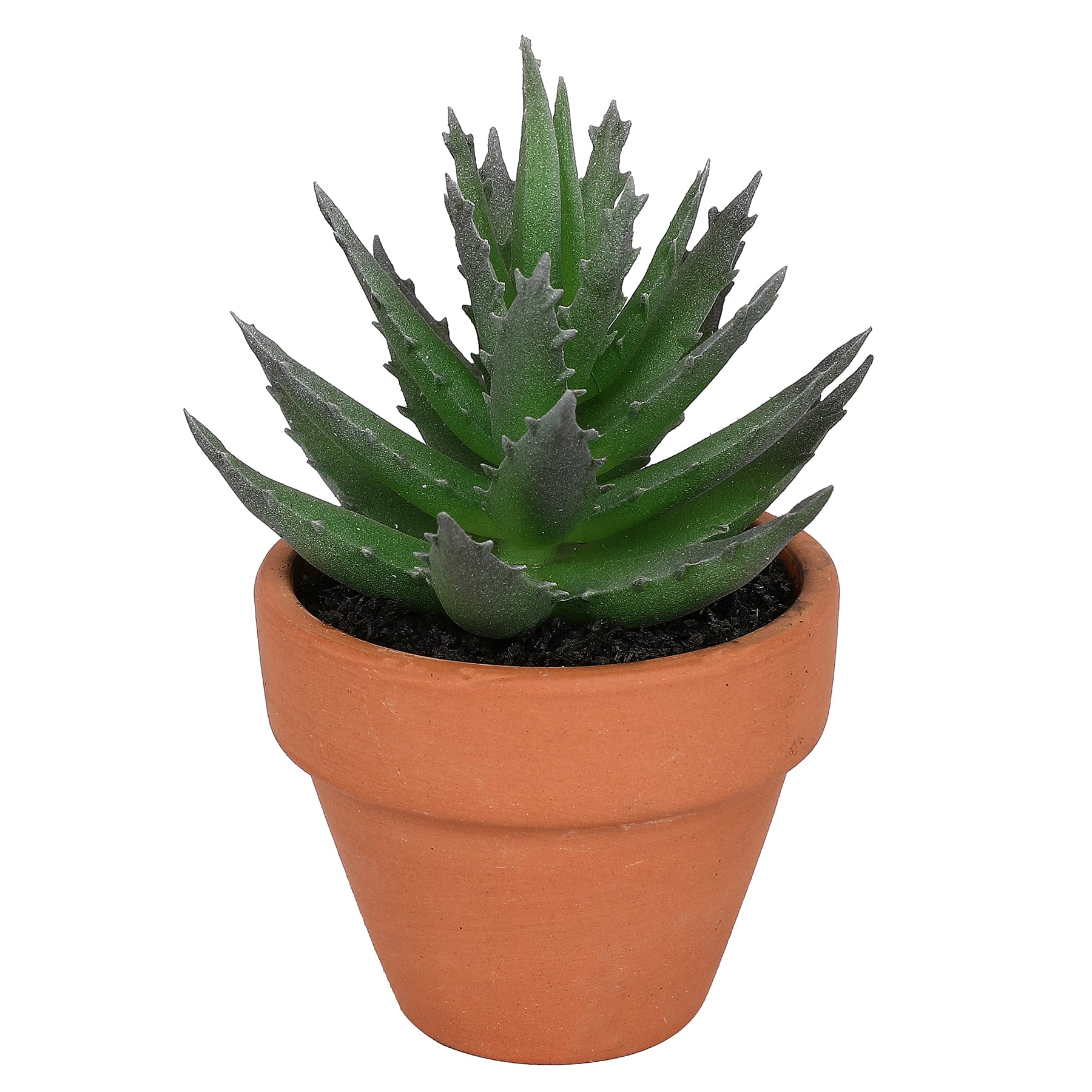 Assorted Micro Succulent in Terra Cotta Pot by Ashland&#xAE;, 1pc.