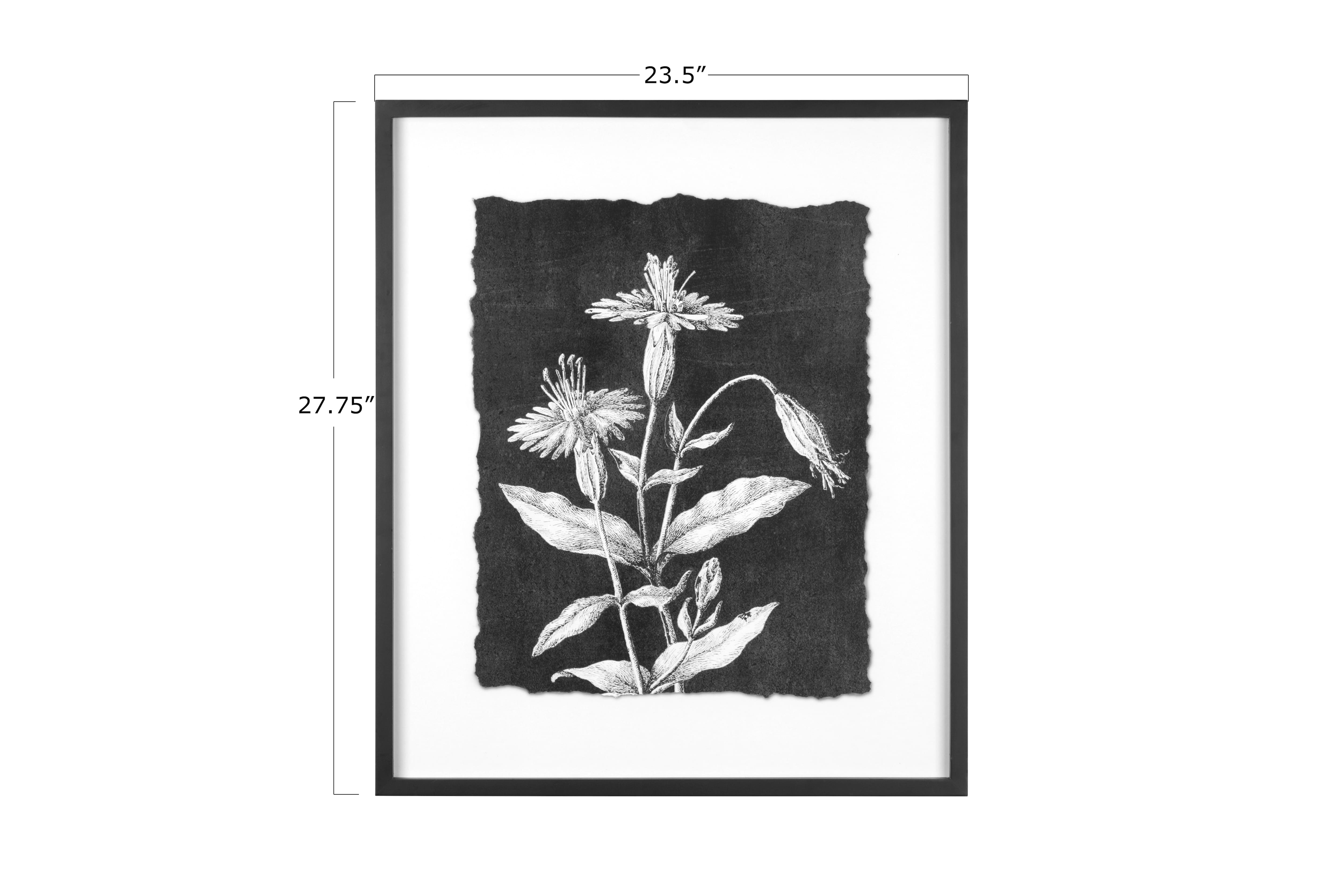 Hello Honey® Black and White Botanical Print Wall Décor with Glass and Wood Frame Set