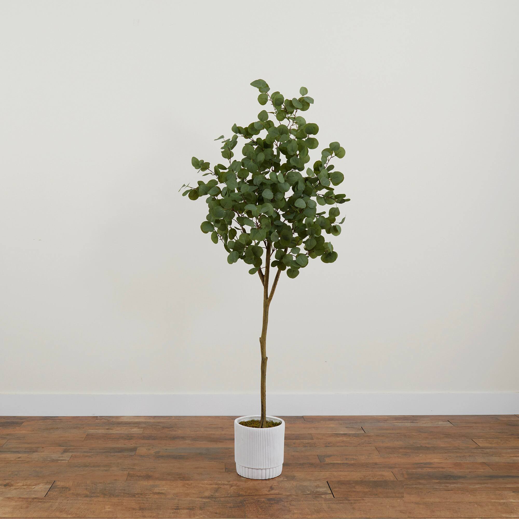 6ft. Artificial Eucalyptus Tree with White Decorative Planter