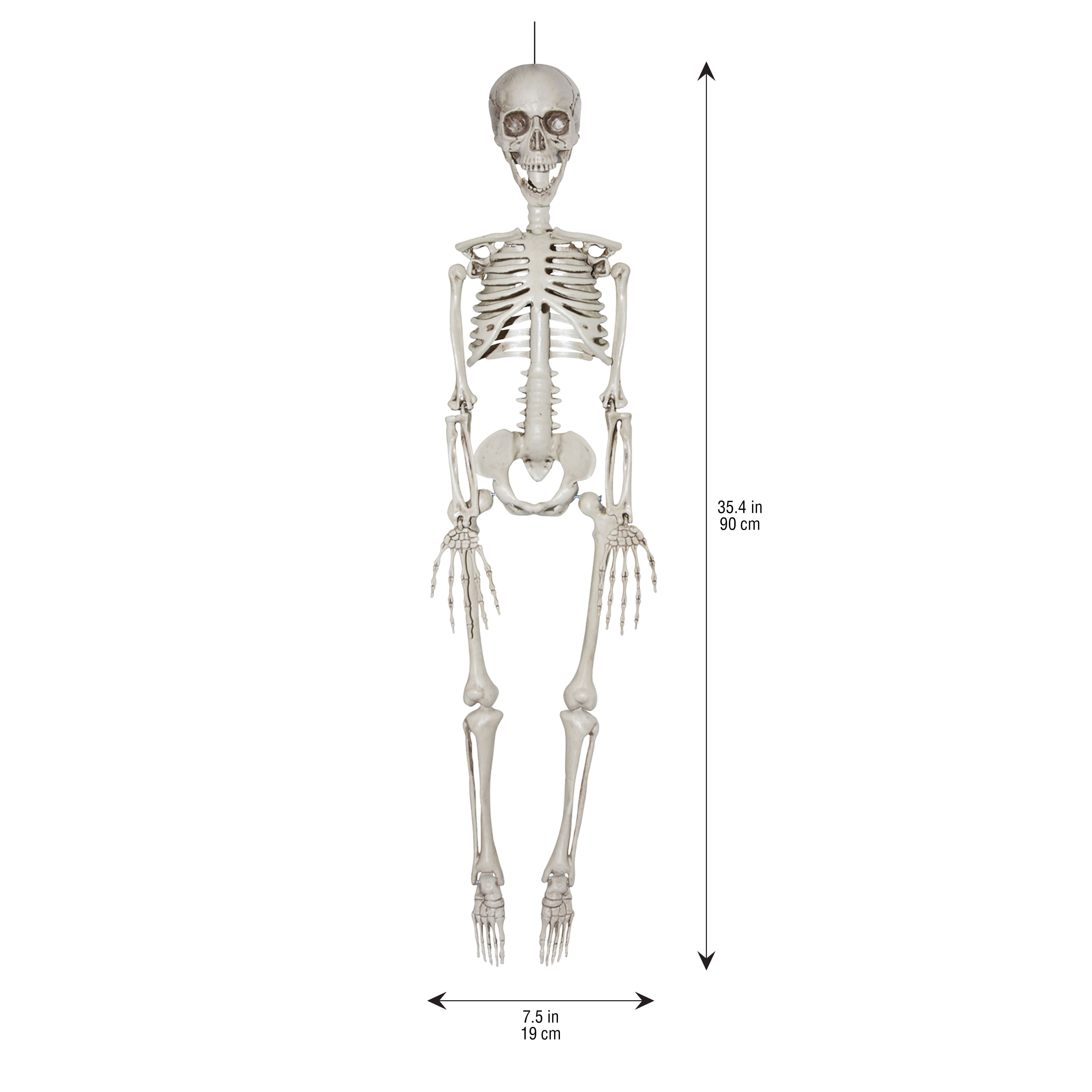 35&#x22; Hanging Skeleton by Ashland&#xAE;