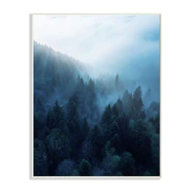 Stupell Industries Daylight Over Pine Forest Mountain With Fog Wall Art