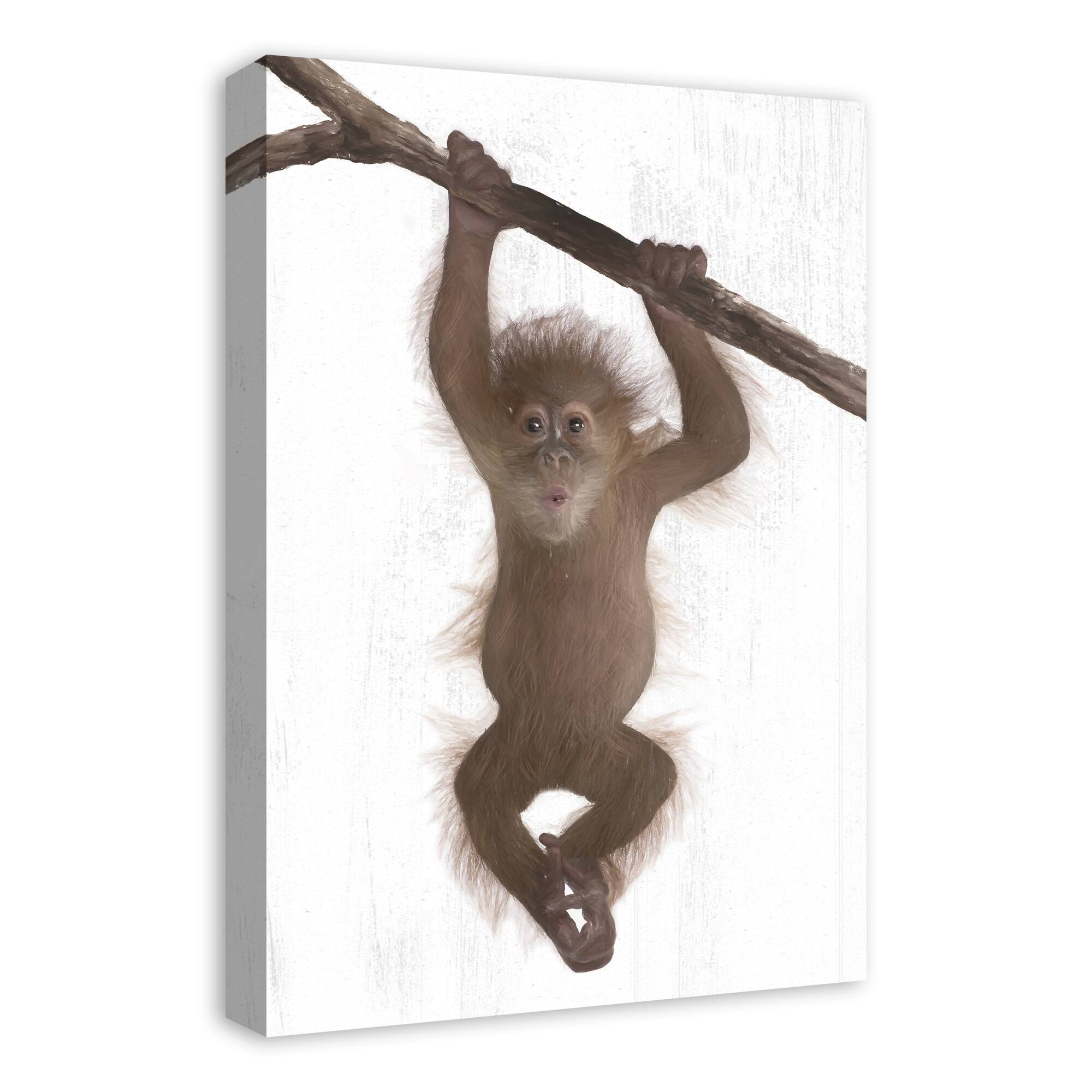 Hanging Monkey 16&#x22; x 24&#x22; Canvas Wall Art