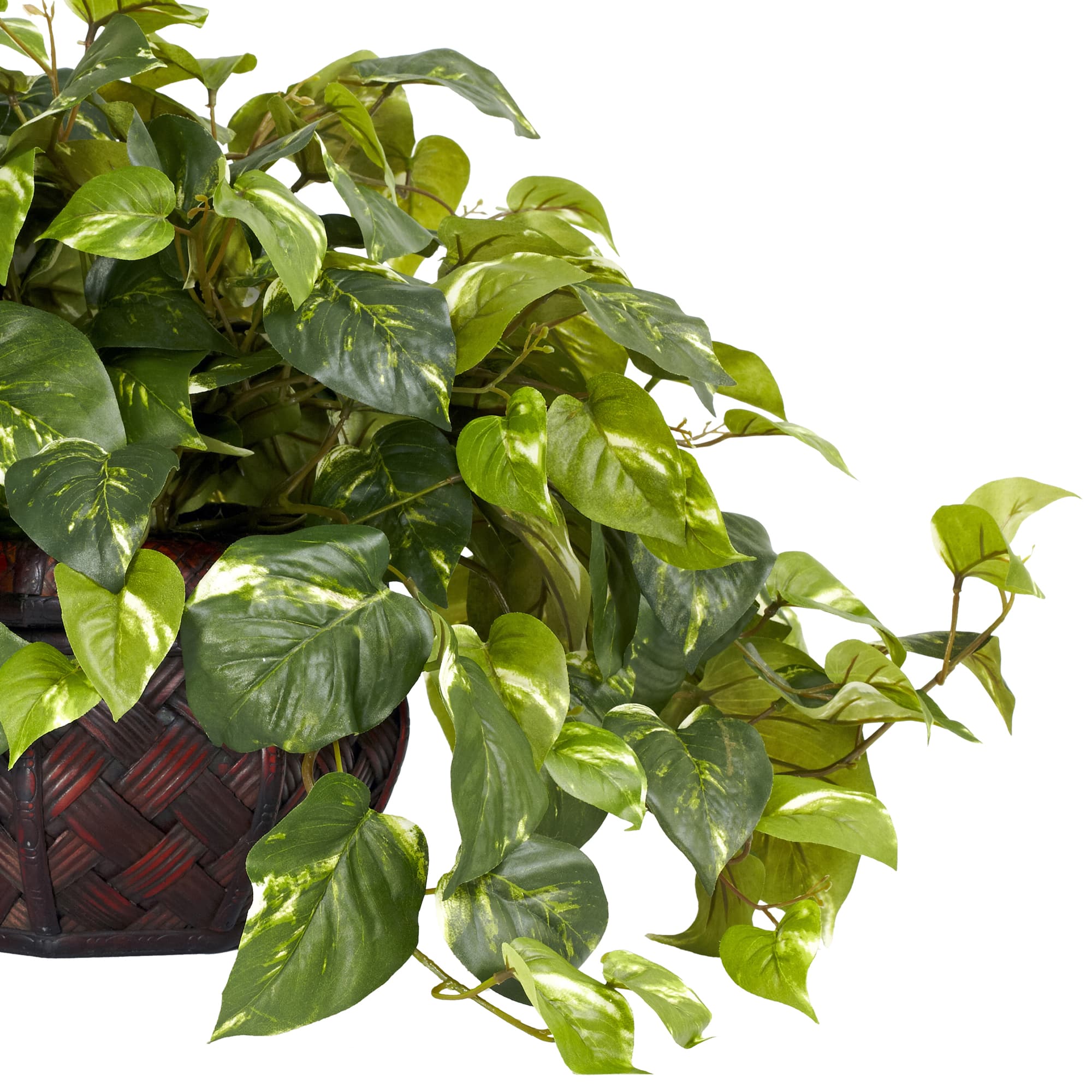 15&#x22; Potted Pothos Plant