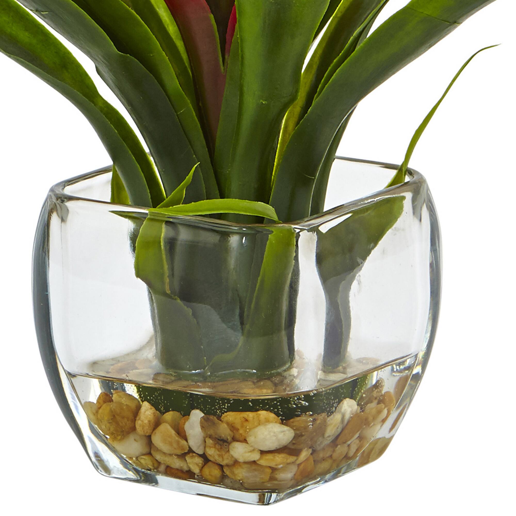 12" Red Bromeliad Arrangement in Glass Vase