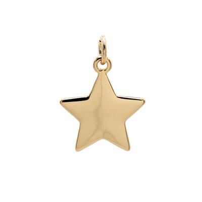 Charmalong™ 14K Gold Plated Star Charm by Bead Landing™ image