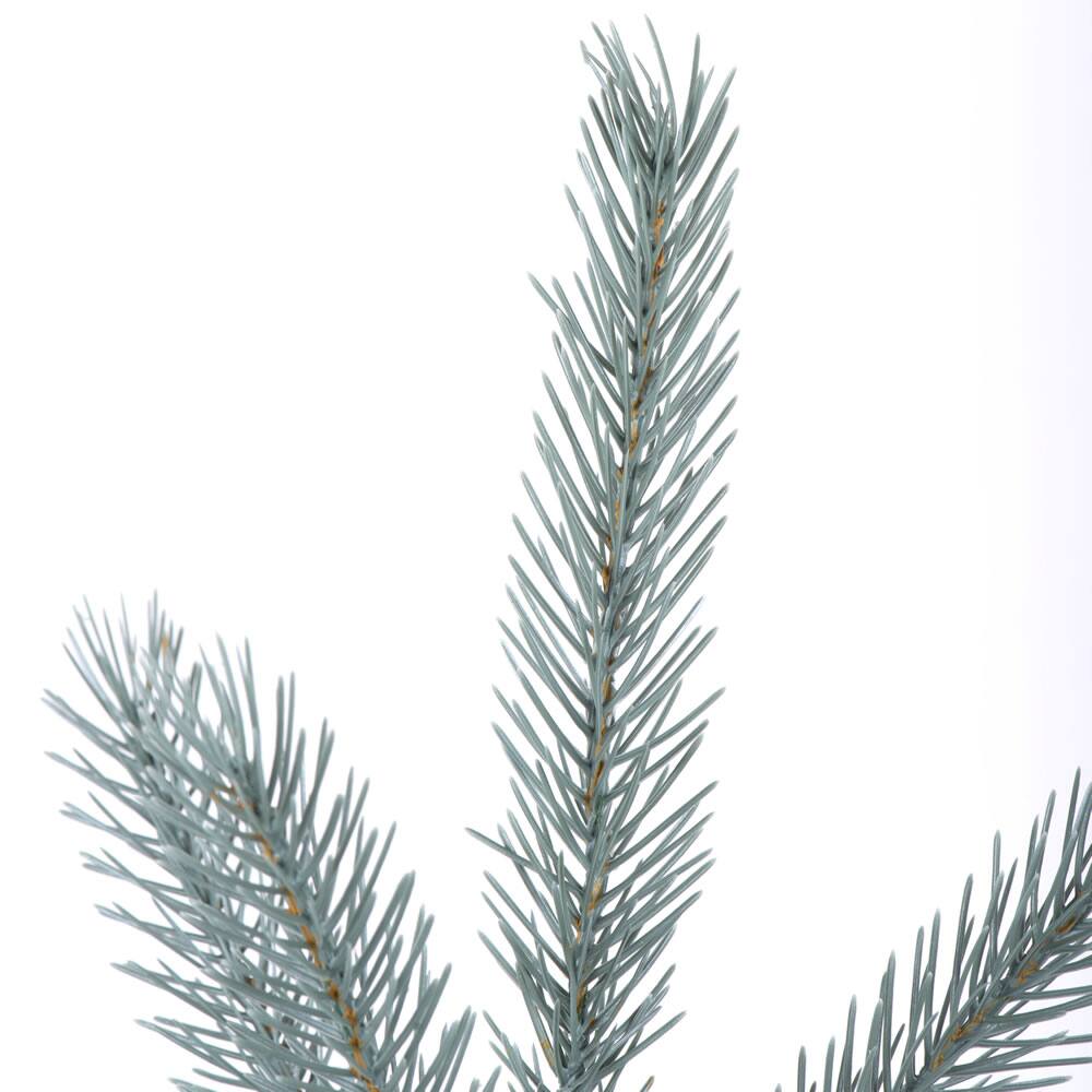 Blue Deluxe Spruce Picks Set