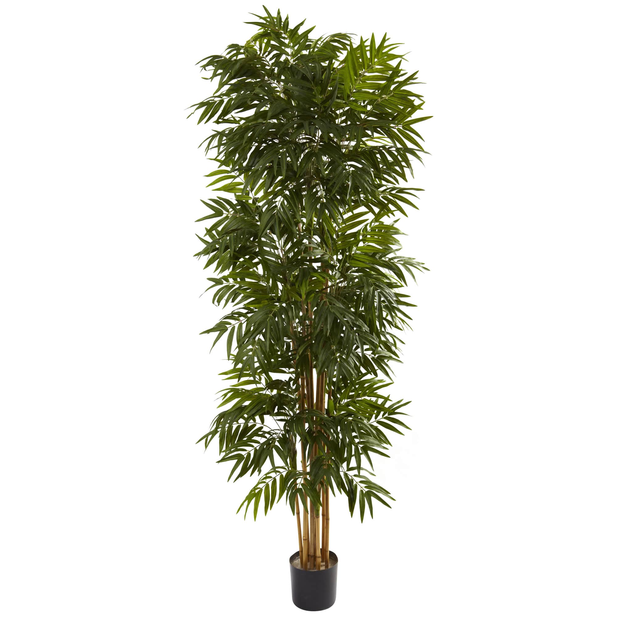 7.5ft. Potted Phoenix Palm Tree