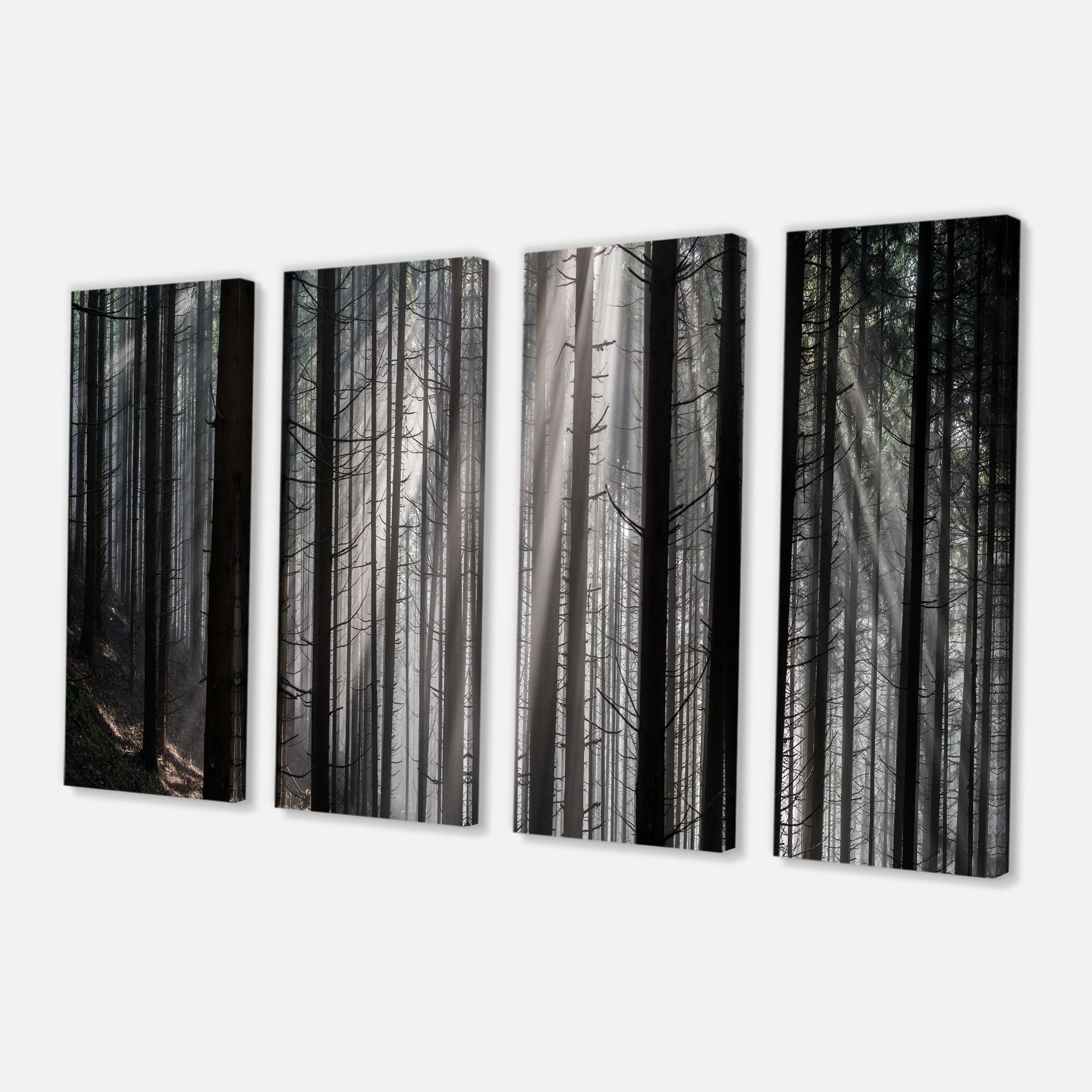 Designart - Sunbeams Peeking Through Dark Forest