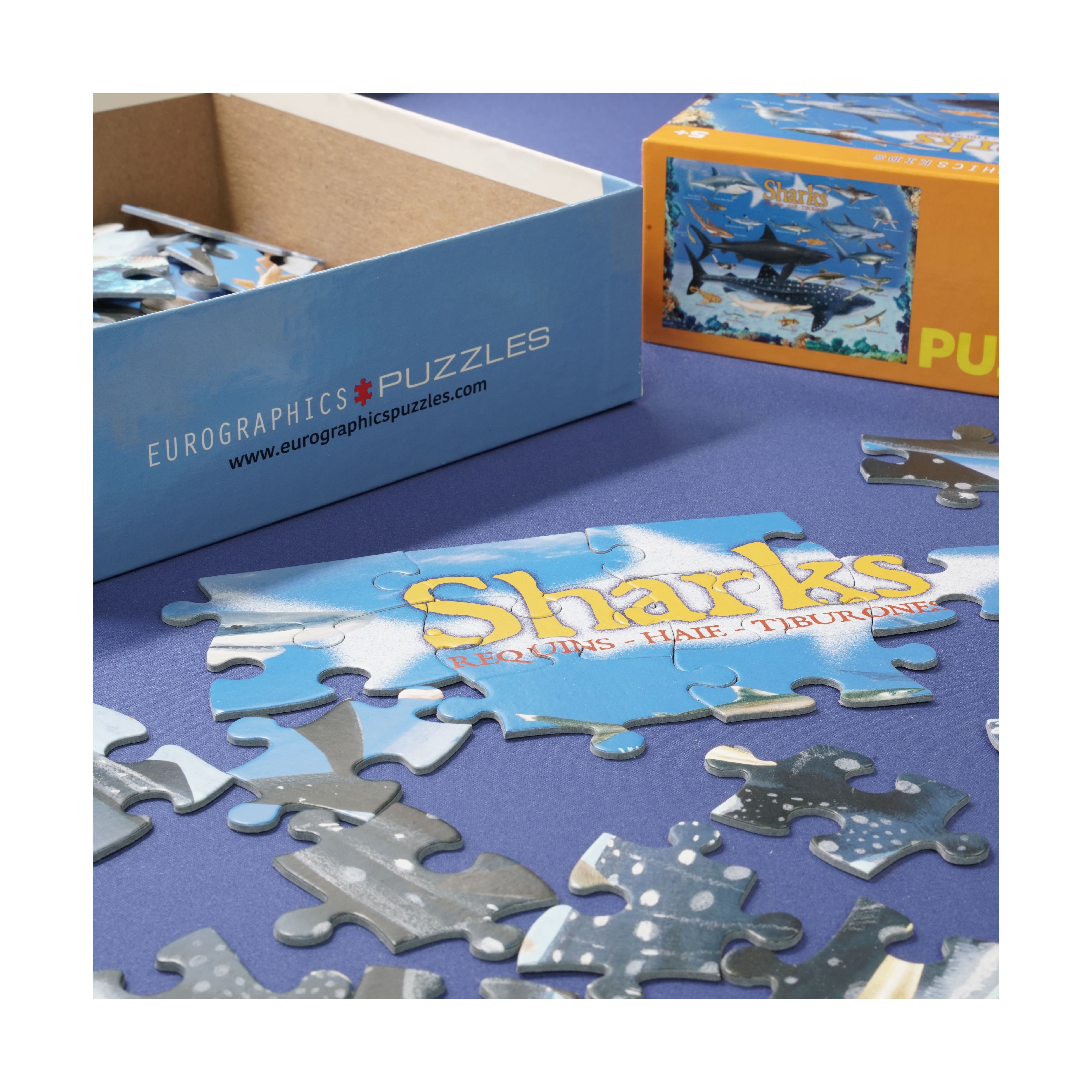 Smart Kids Collection - Sharks: 100 Pcs