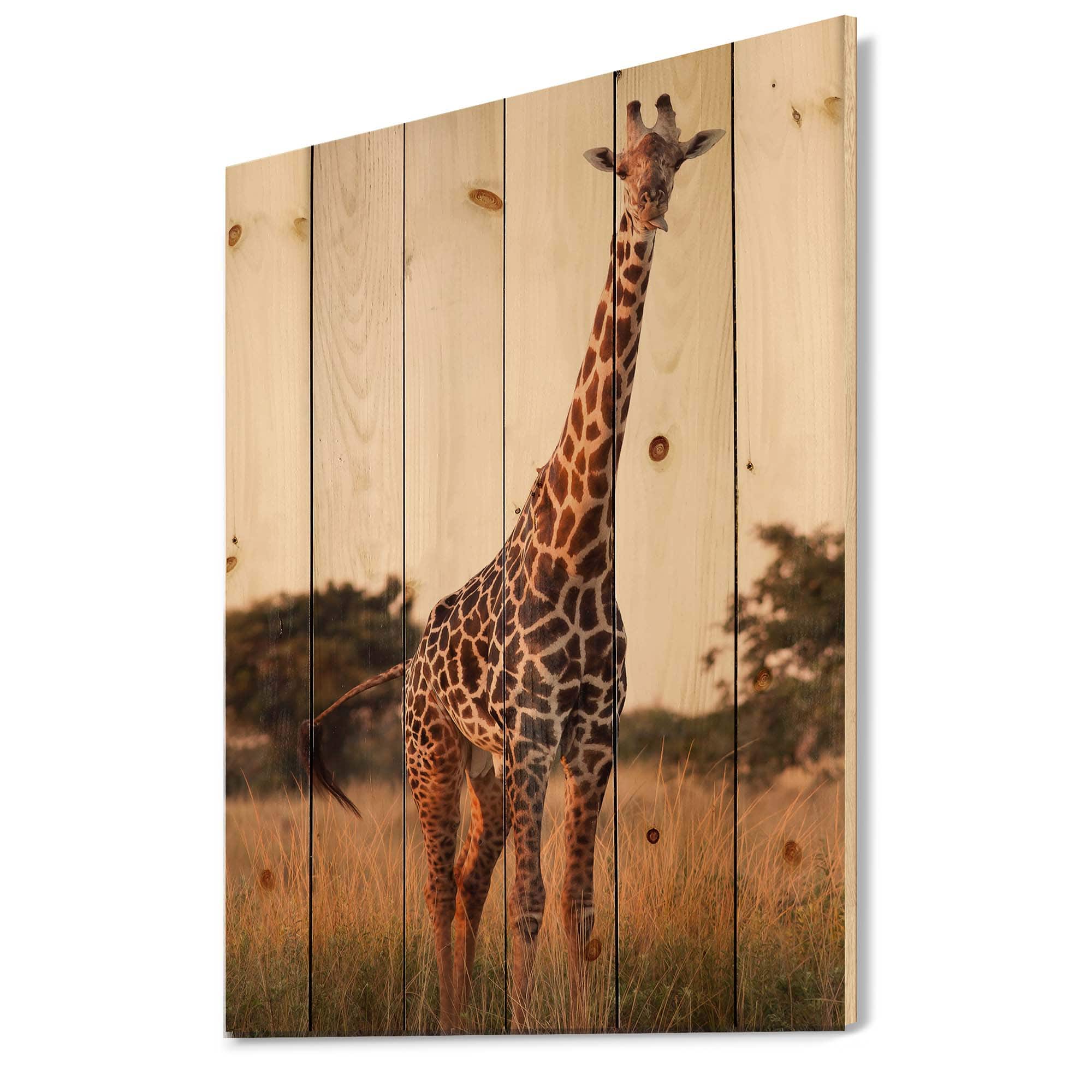 Designart - African Giraffe In The Wild I - Farmhouse Print on Natural Pine Wood