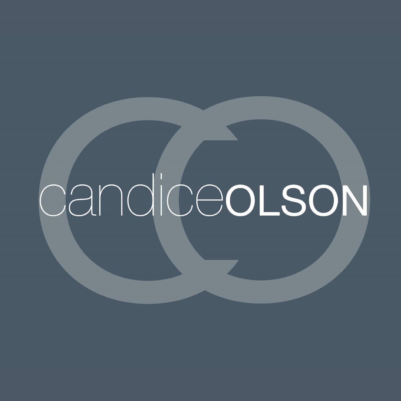 Candice Olson White Luxury Down Alternative Comforter, Queen