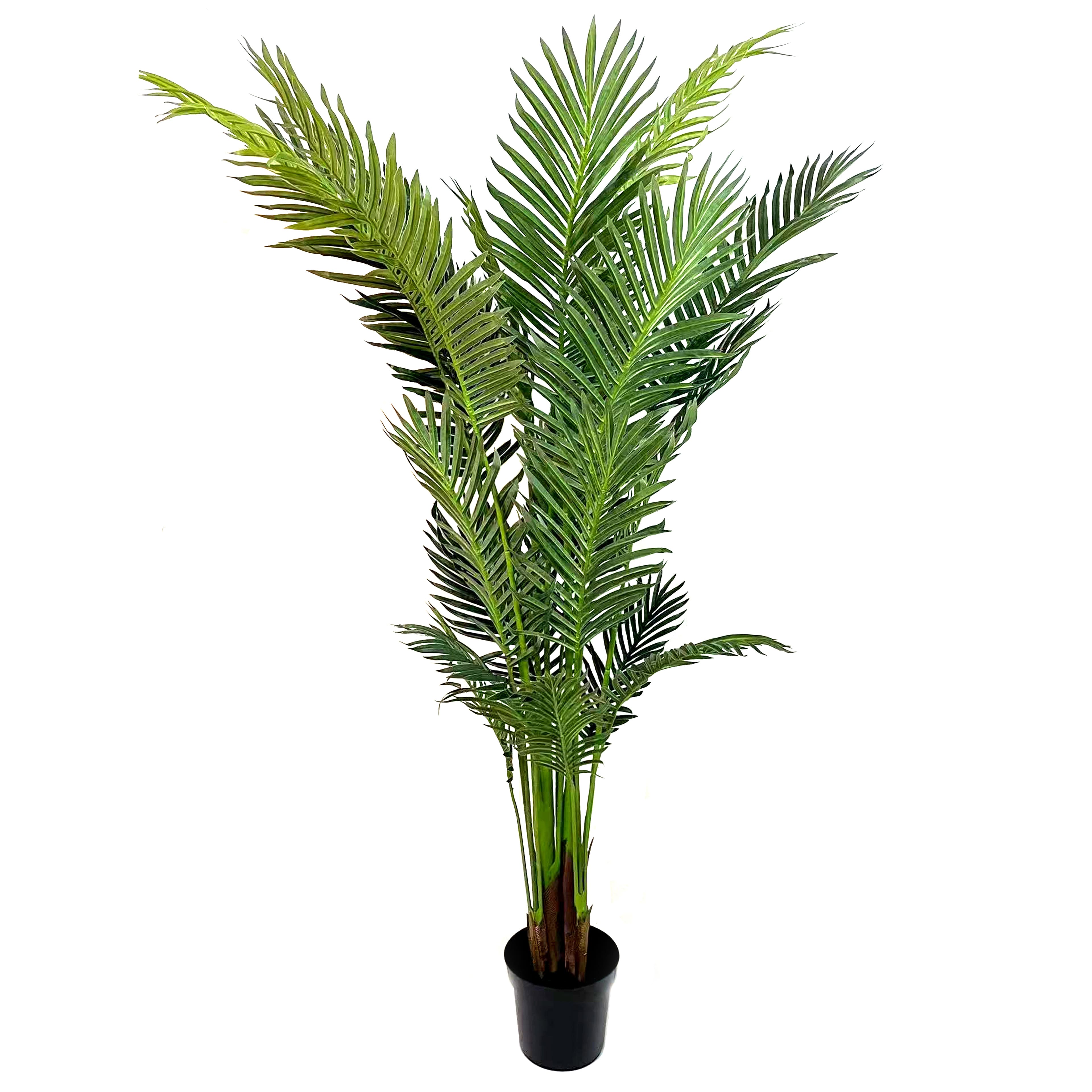 6ft. Potted Green Areca Palm Tree by Ashland&#xAE;