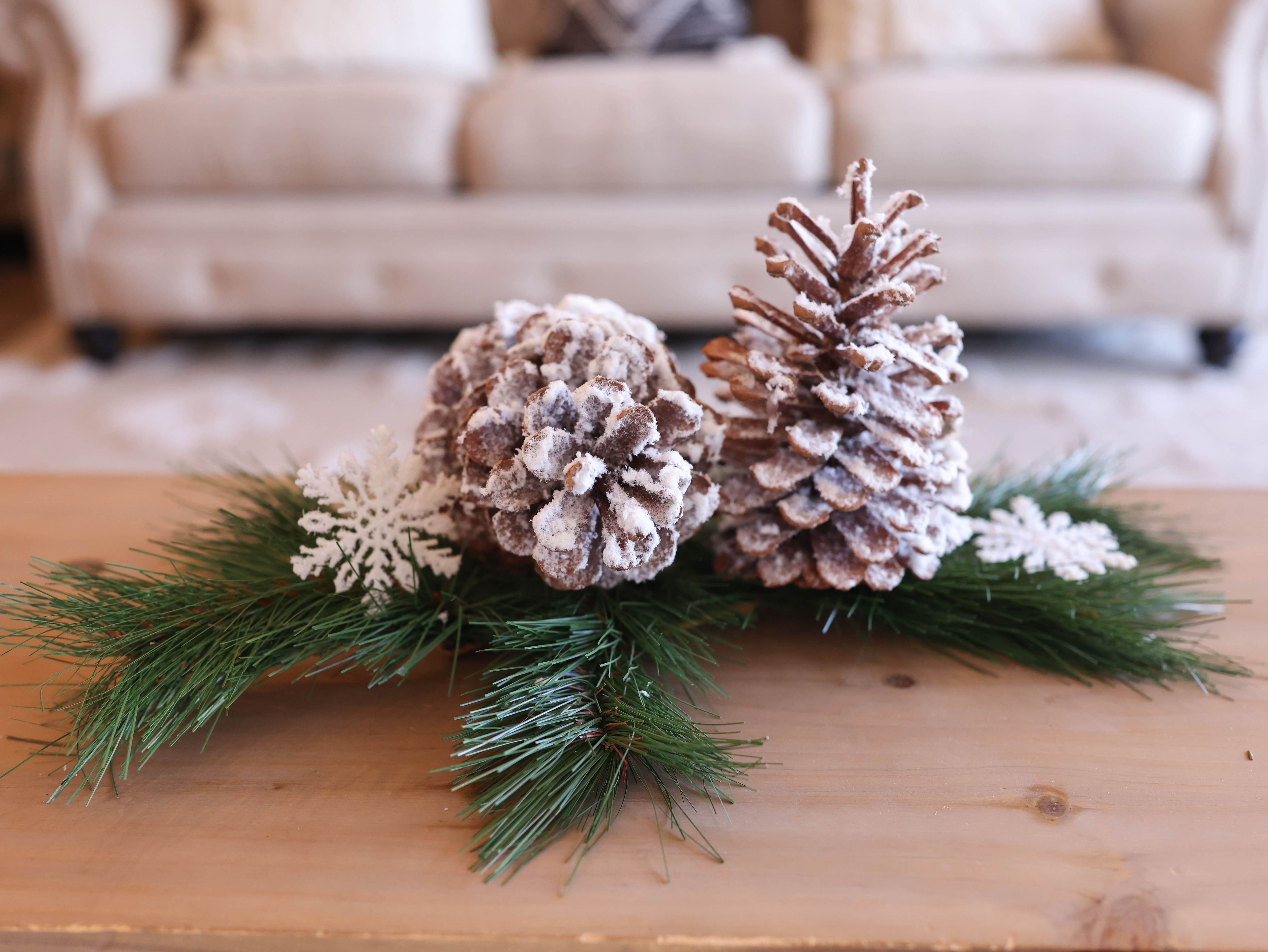 Snowy White Long Leaf Pinecones, 2ct. by Ashland®