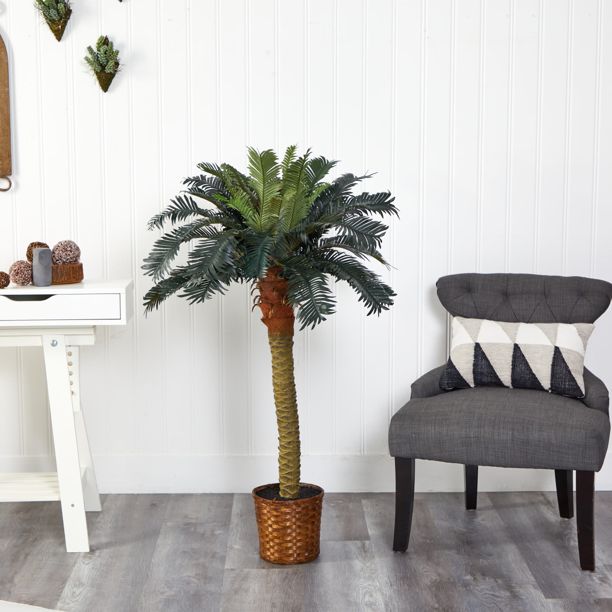4ft. Sago Silk Palm Tree in Wicker Basket Pot