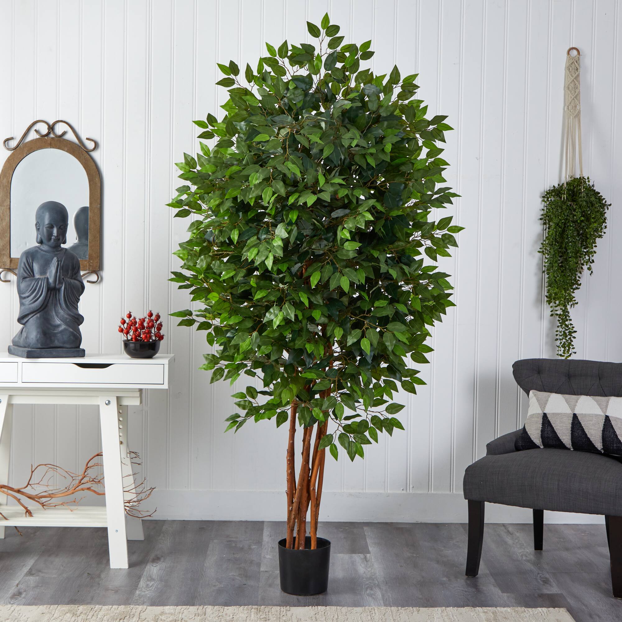 6.5ft. Potted Deluxe Ficus Tree