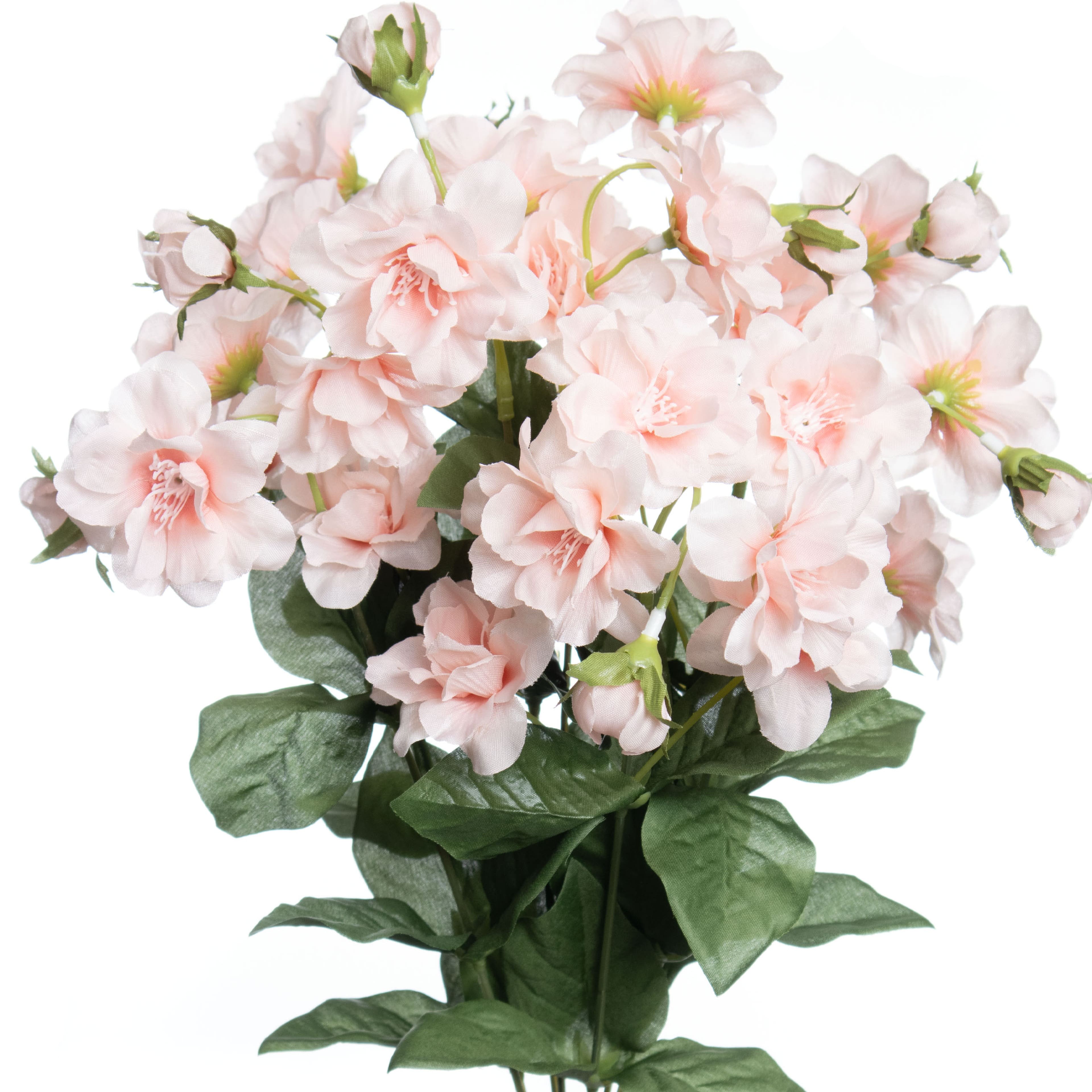 16.5" Camellia Bush by Ashland®