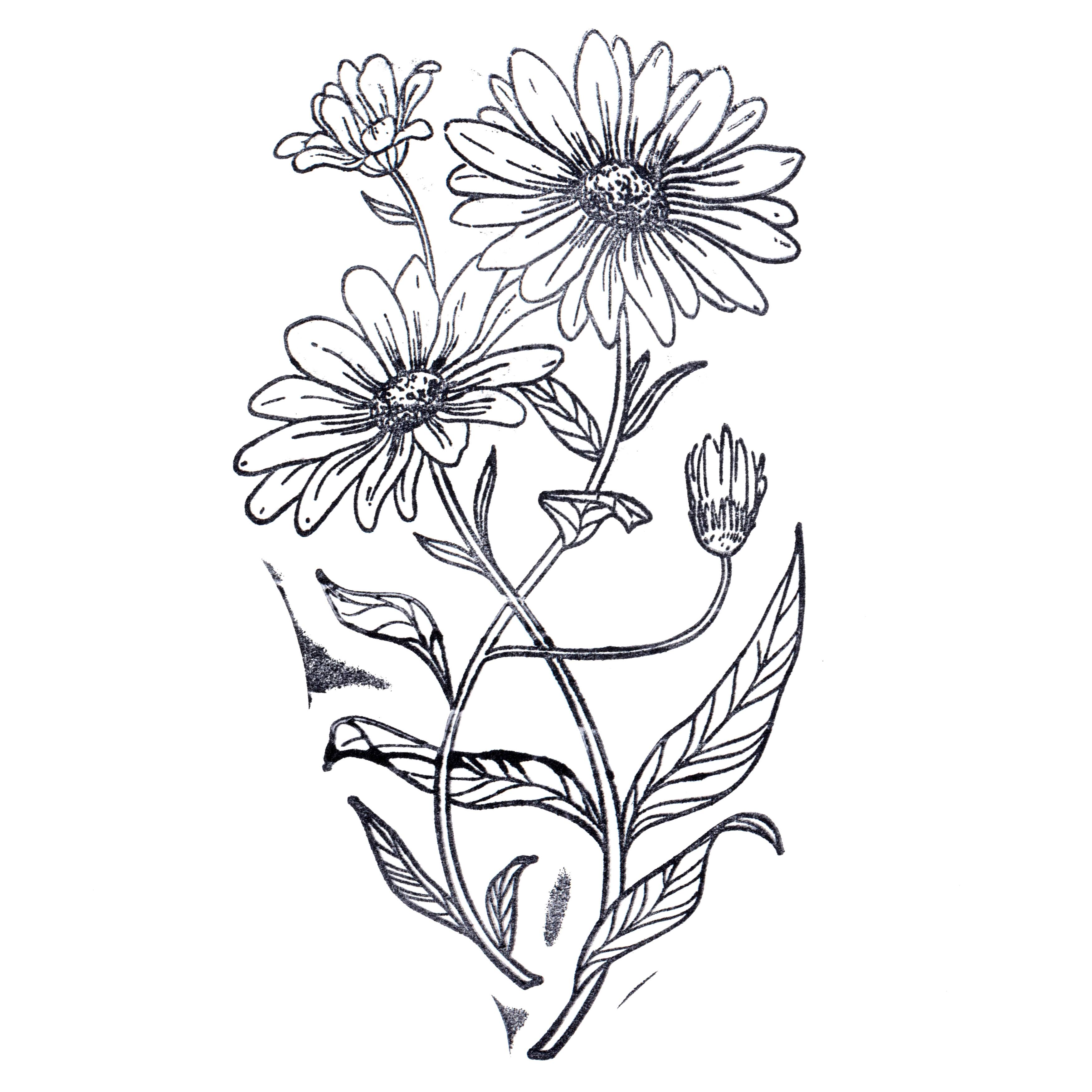 6 Pack: Daisy Stamp by Recollections&#x2122;