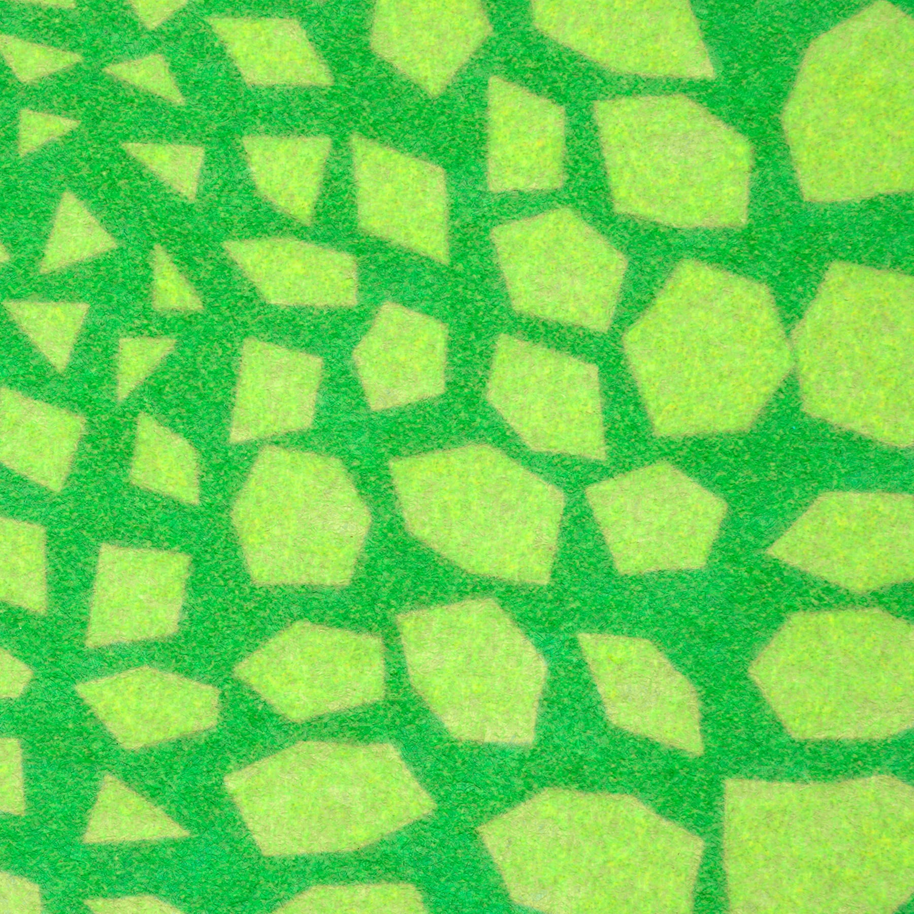 20 Pack: 9" x 12" Alligator Felt by Creatology™