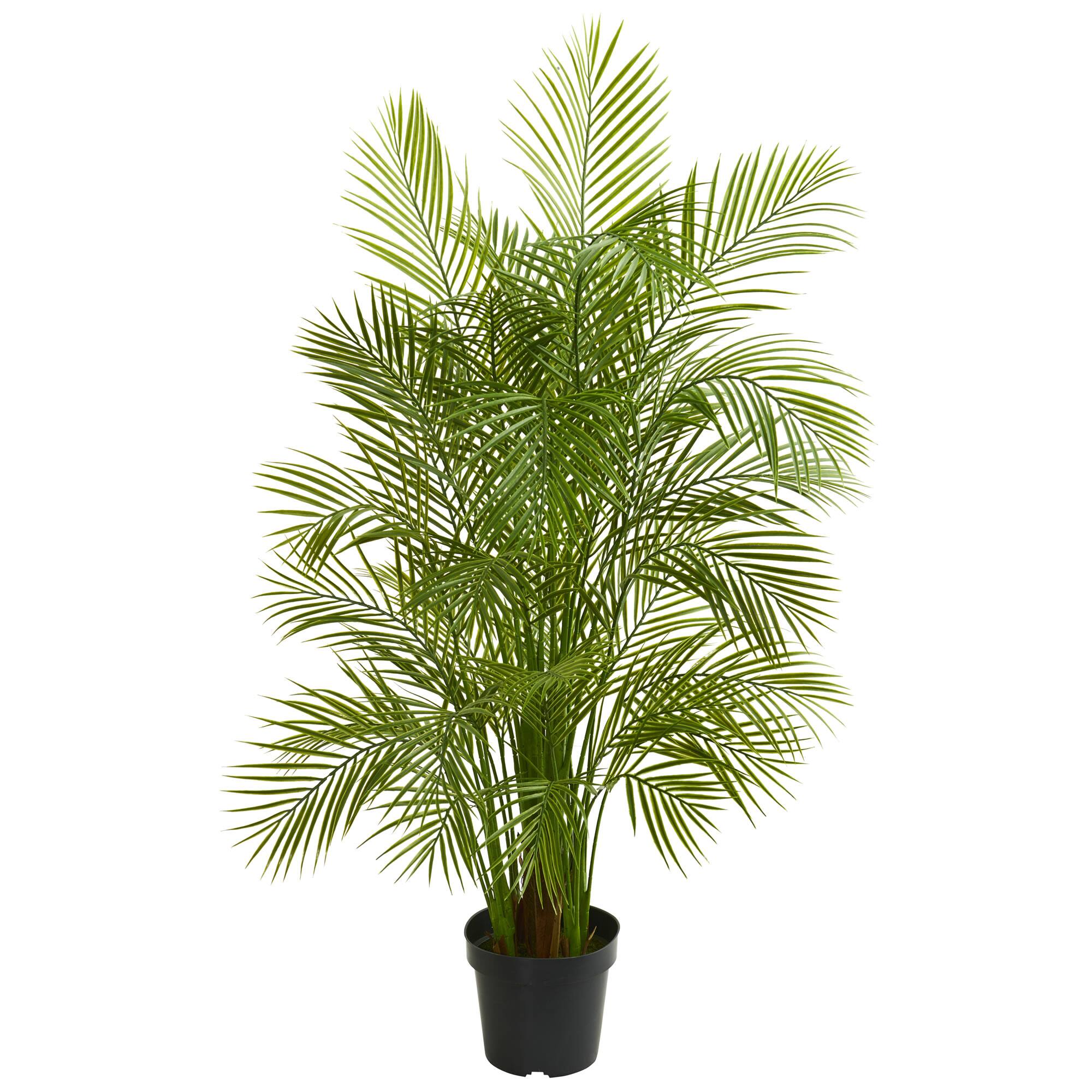 5 5ft Potted Areca Palm Tree Michaels