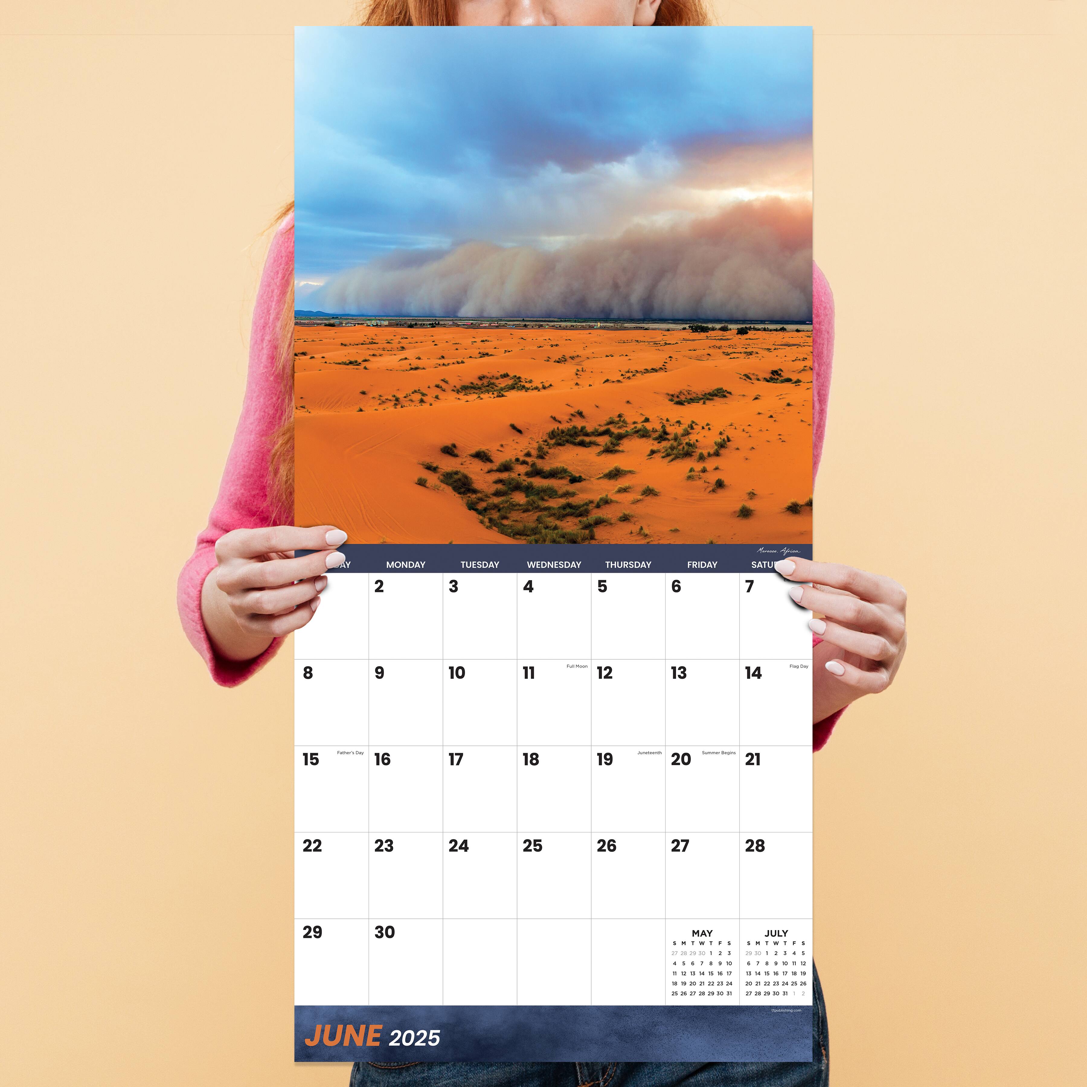 TF Publishing 2025 Weather Wall Calendar