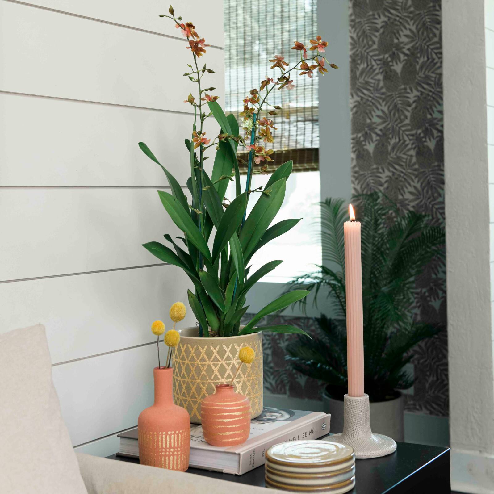 Hello Honey® Reactive Glaze Stoneware Coasters Set