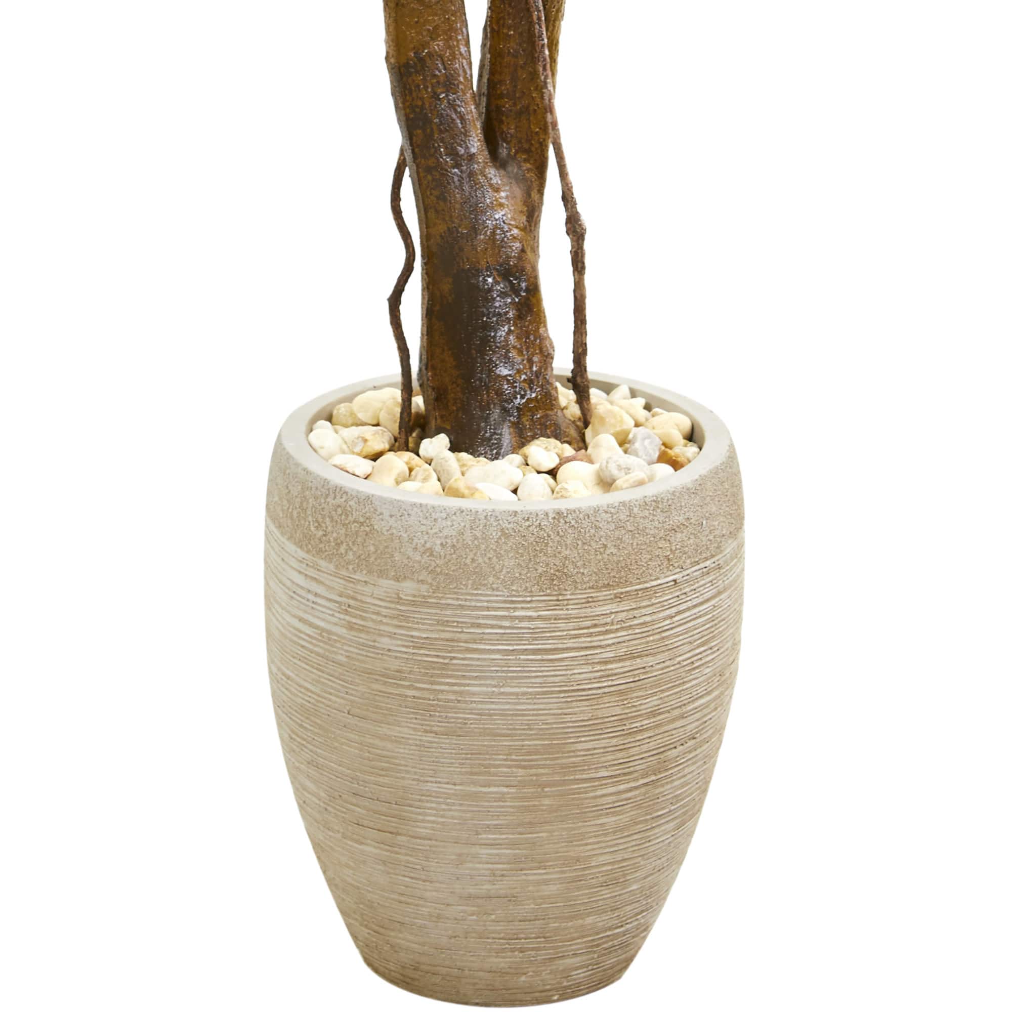 4ft. Boxwood Topiary Tree in Planter