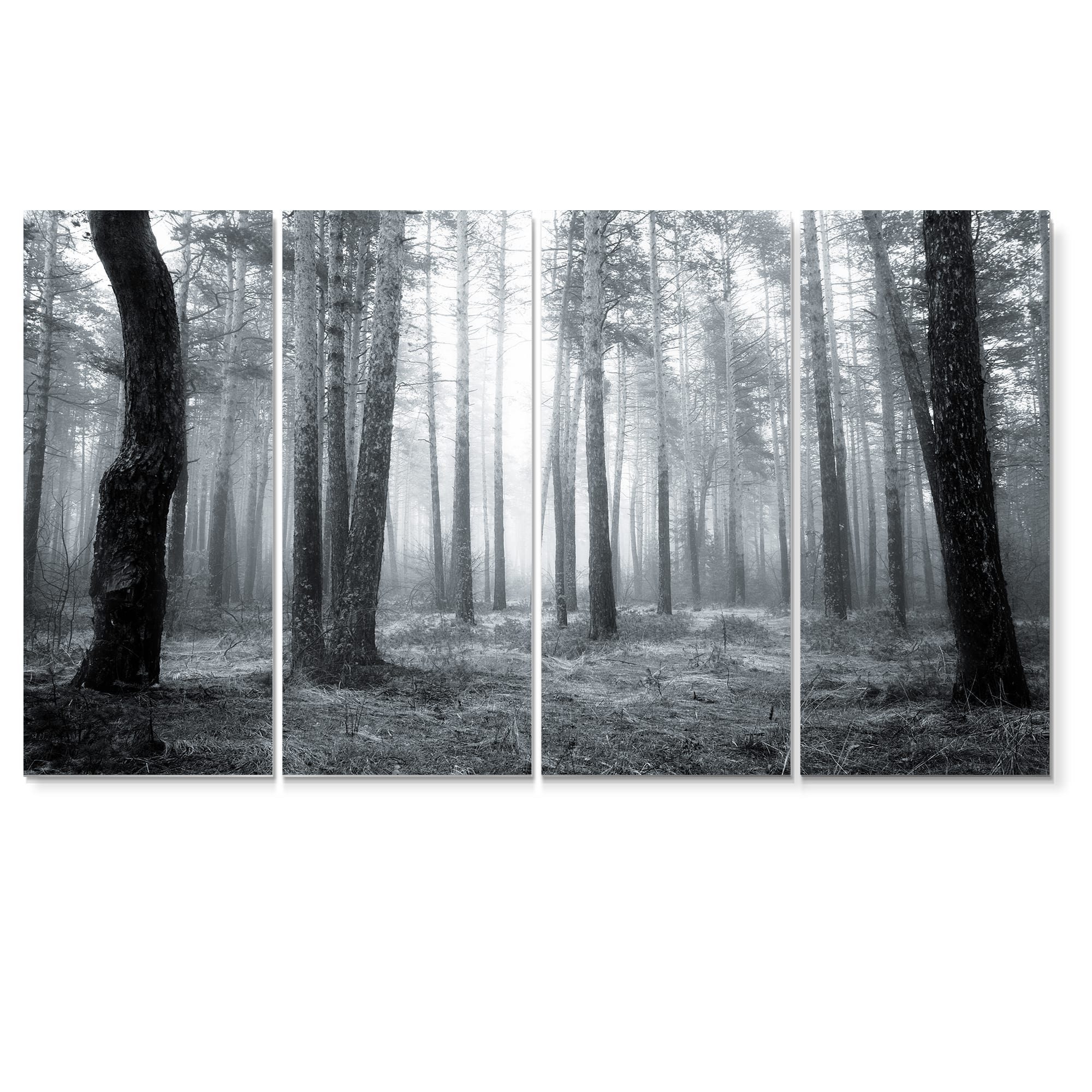 Designart - Black and White Foggy Forest - Forest Canvas Art Print