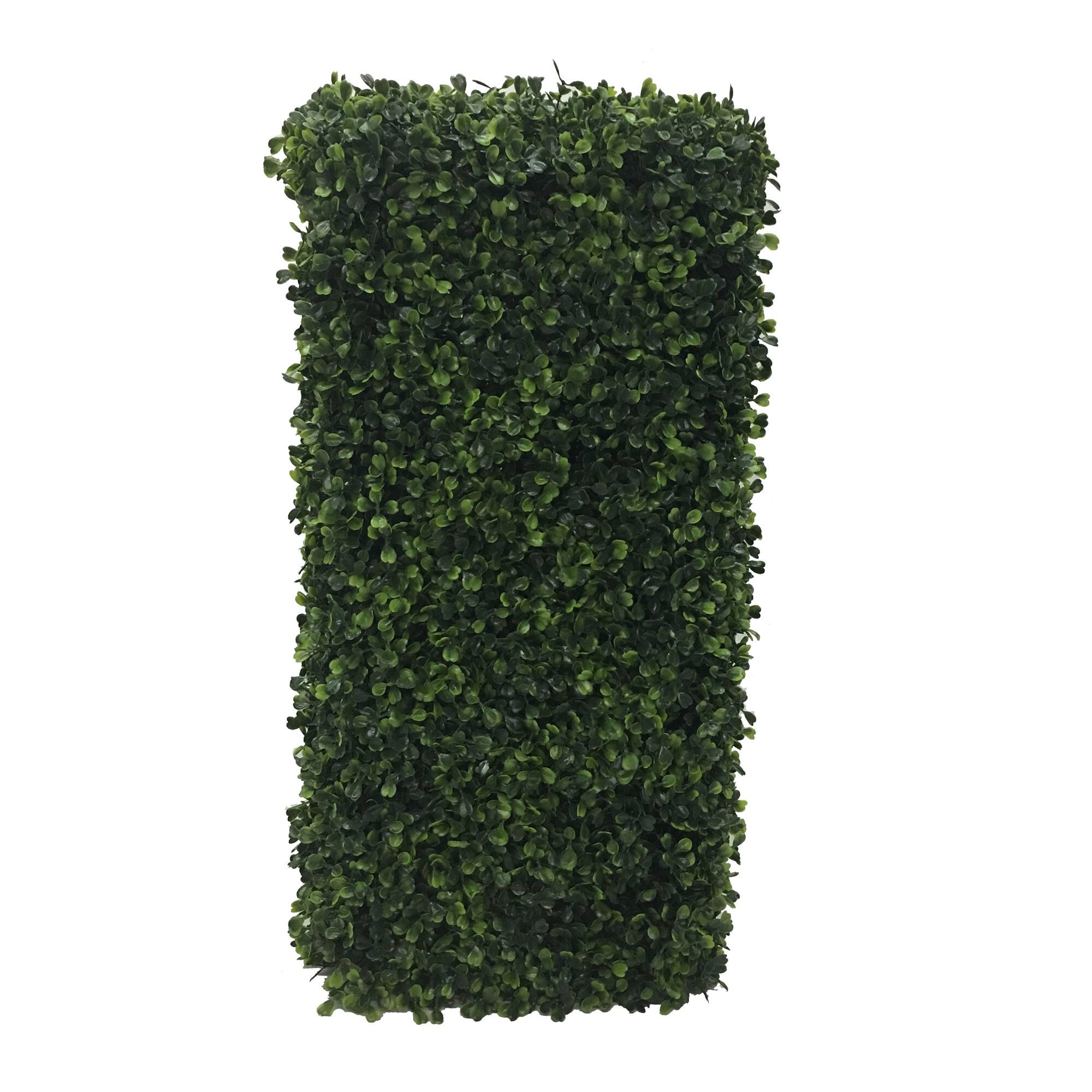 2ft. Boxwood Hedge