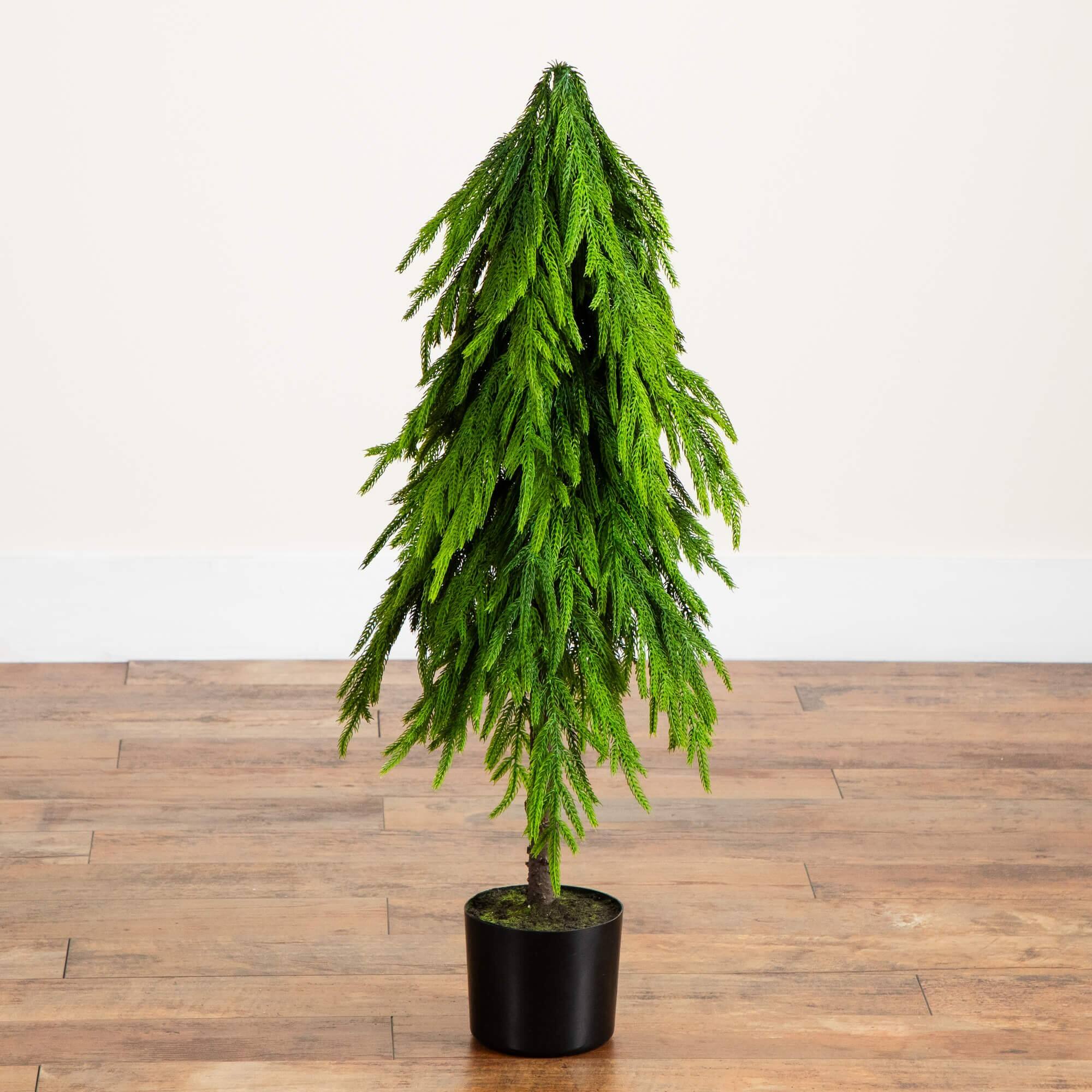 3ft. Unlit Down Swept Real Touch Norfolk Pine Artificial Christmas Tree in Nursery Pot