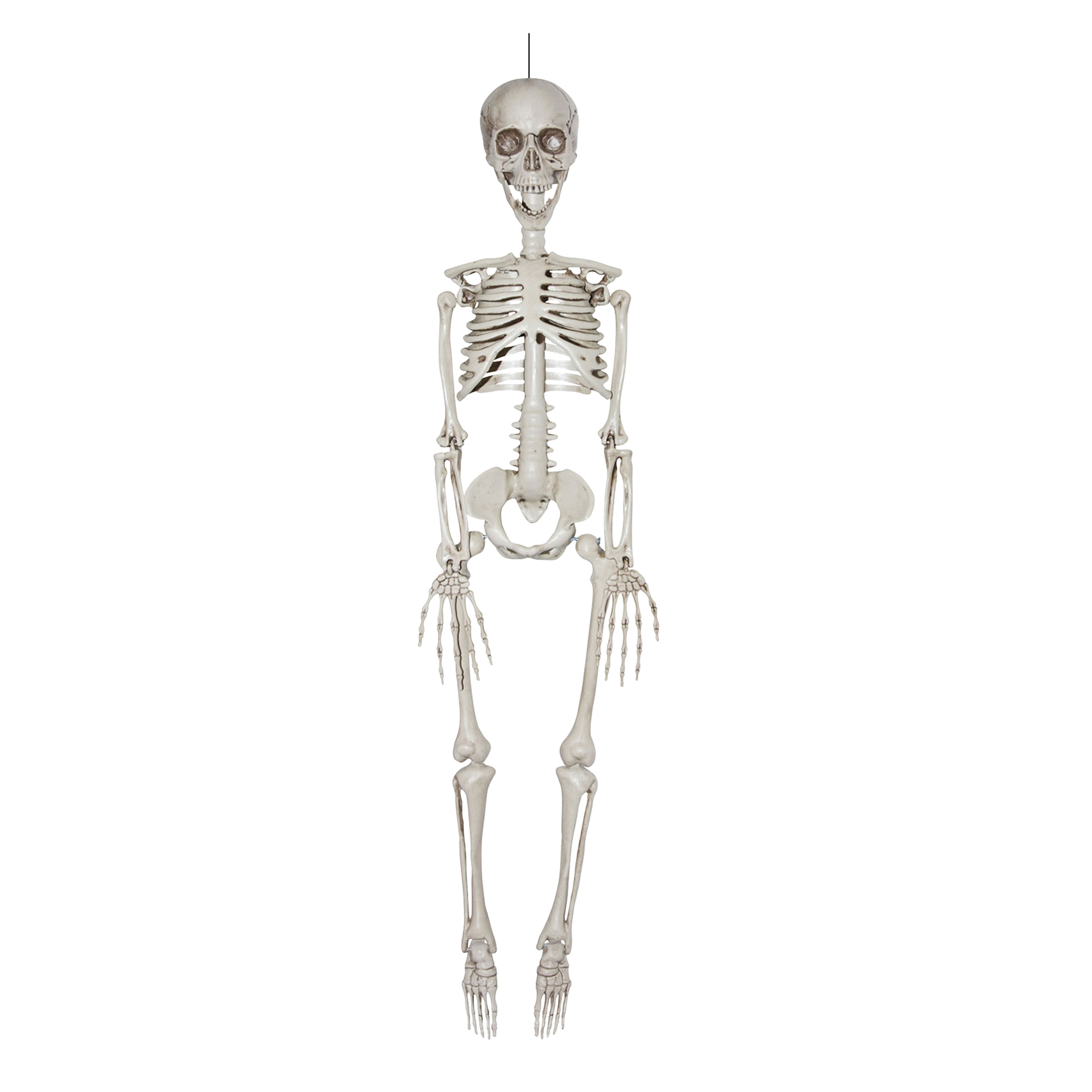 35" Hanging Skeleton by Ashland®