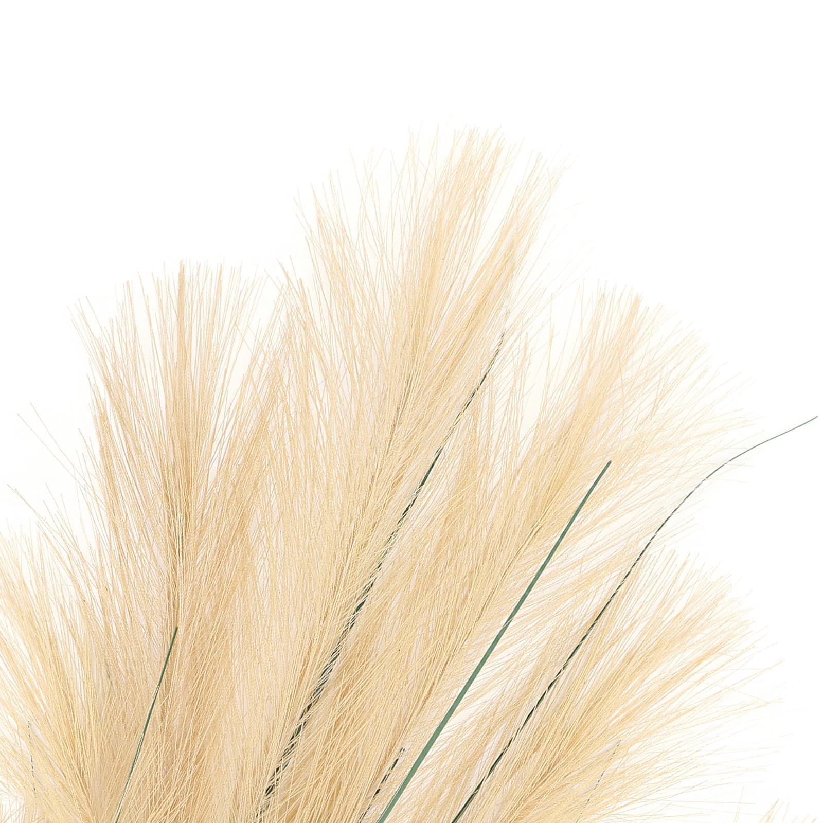 39.5&#x22; Light Brown Pampas Stem by Ashland&#xAE;