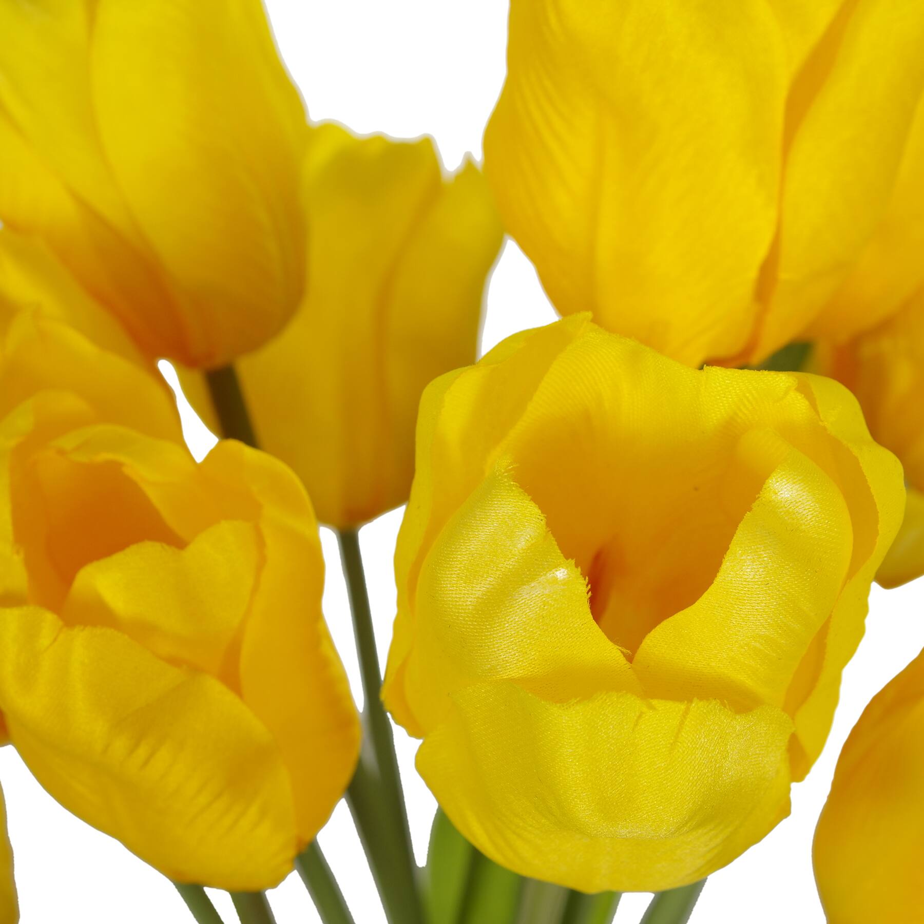 Yellow Tulip Bush by Ashland&#xAE;