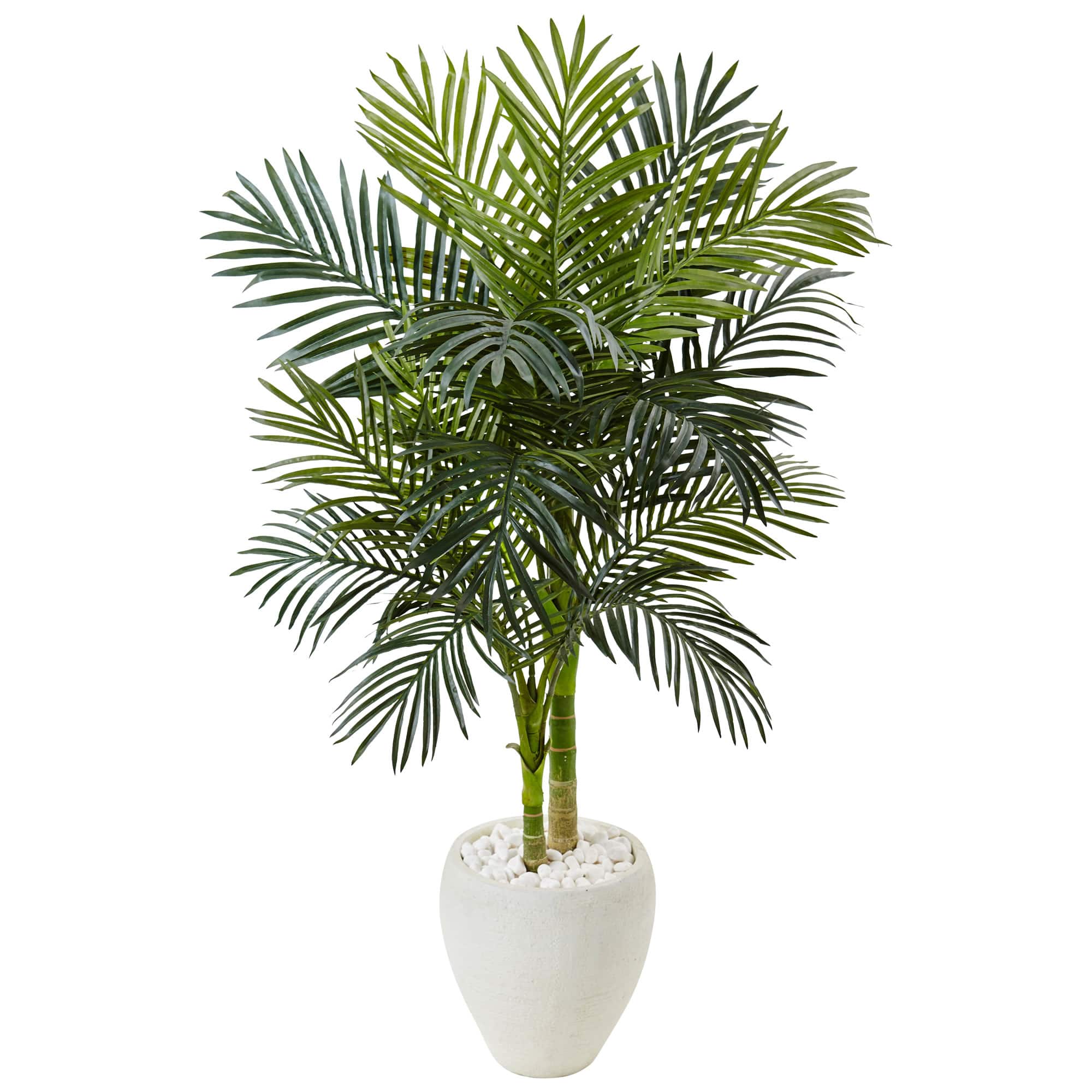 4.5ft. Golden Cane Palm Tree in White Oval Planter