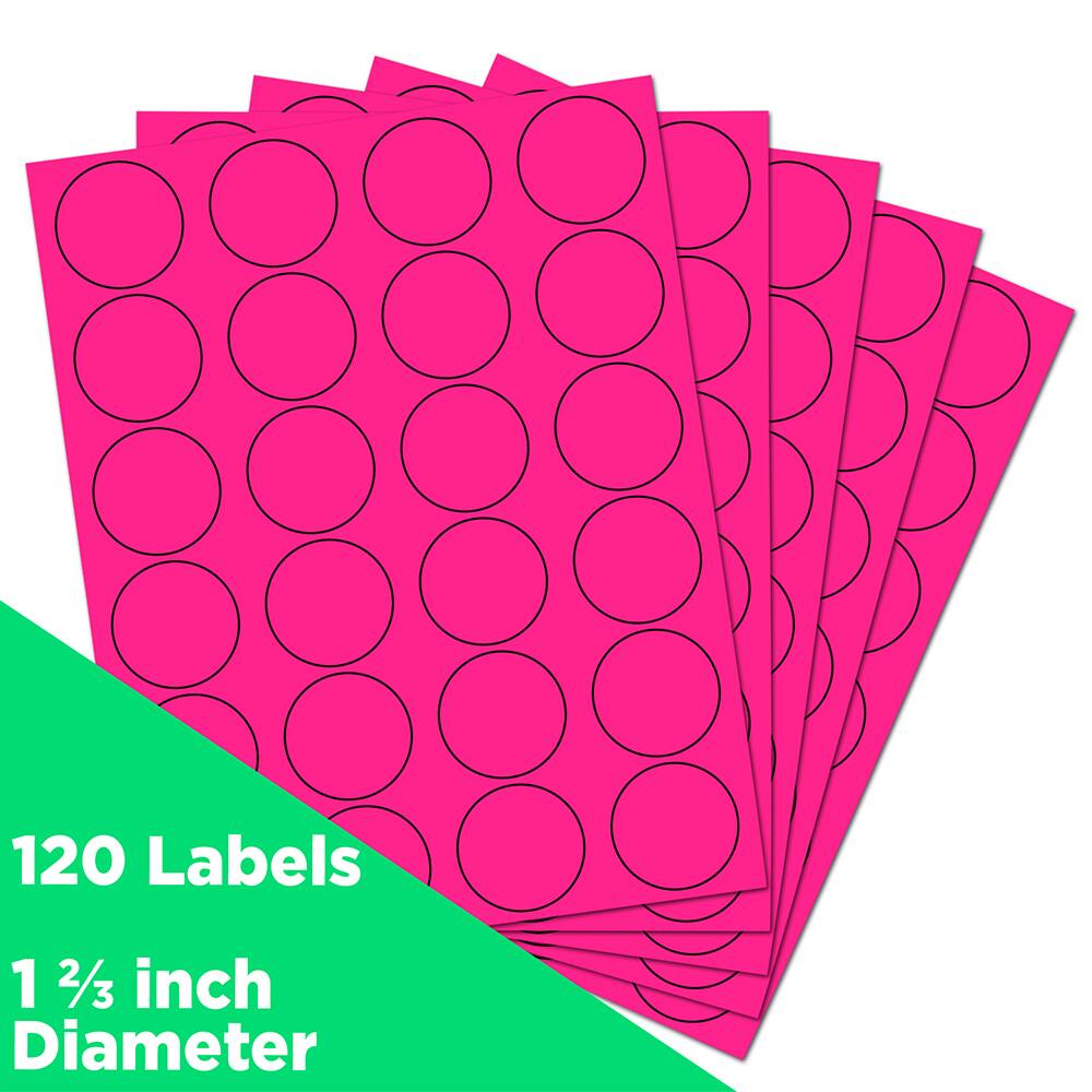 JAM Paper Circle Label Stickers