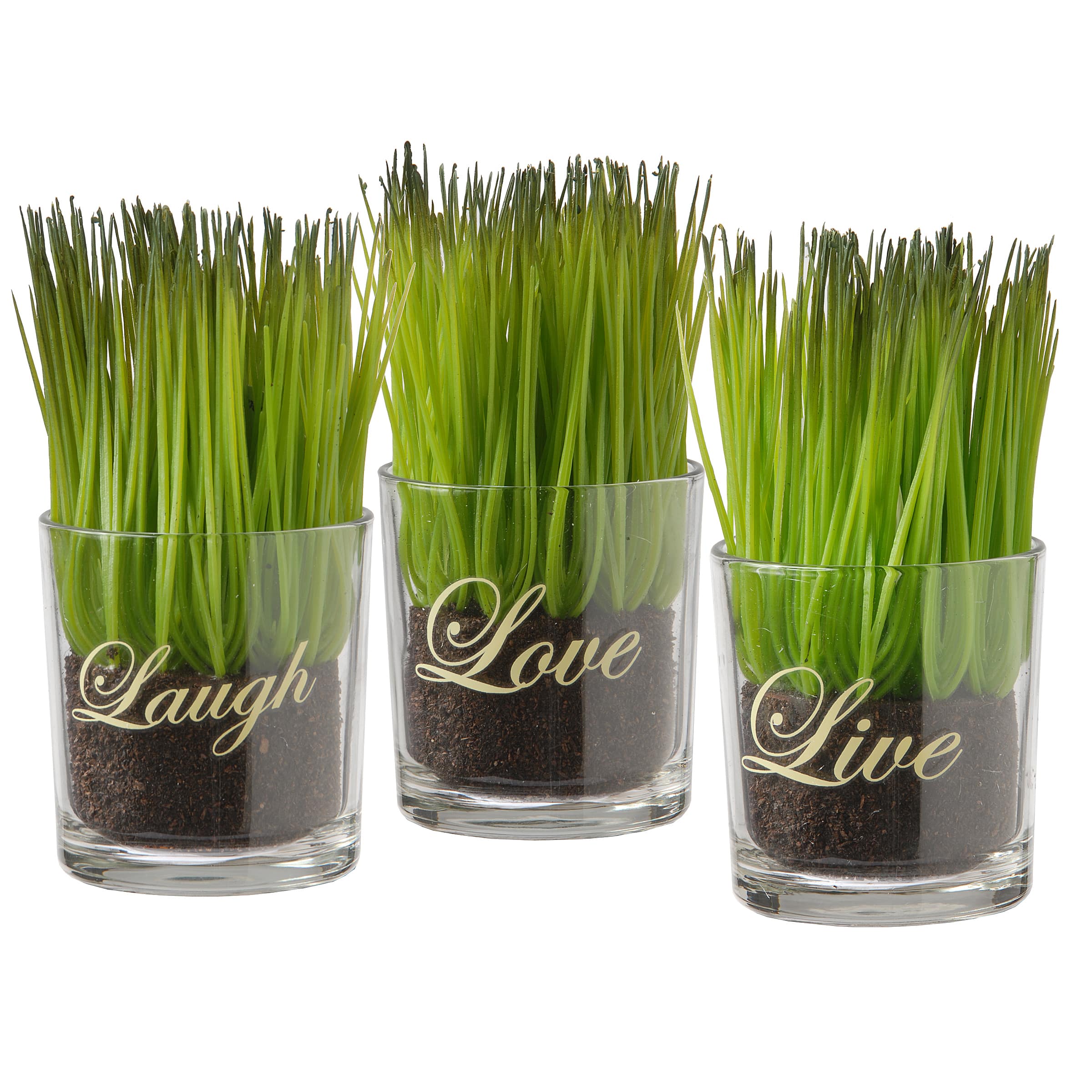 3-Piece Round Sprout-Filled Glass Assortment