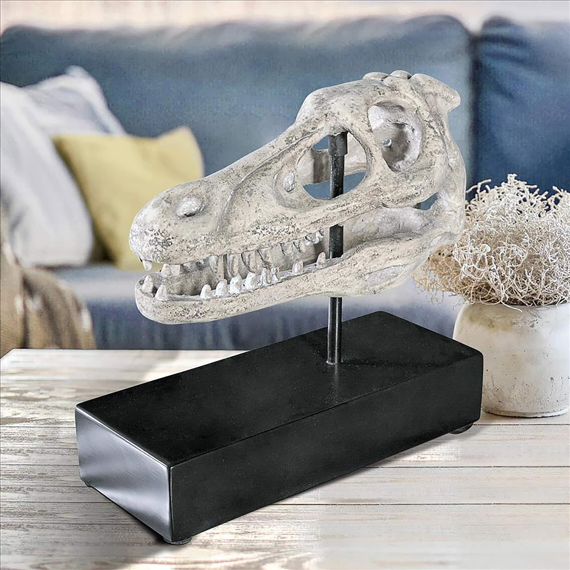 Design Toscano 10.5&#x22; Velociraptor Dinosaur Skull Fossil Replica Statue