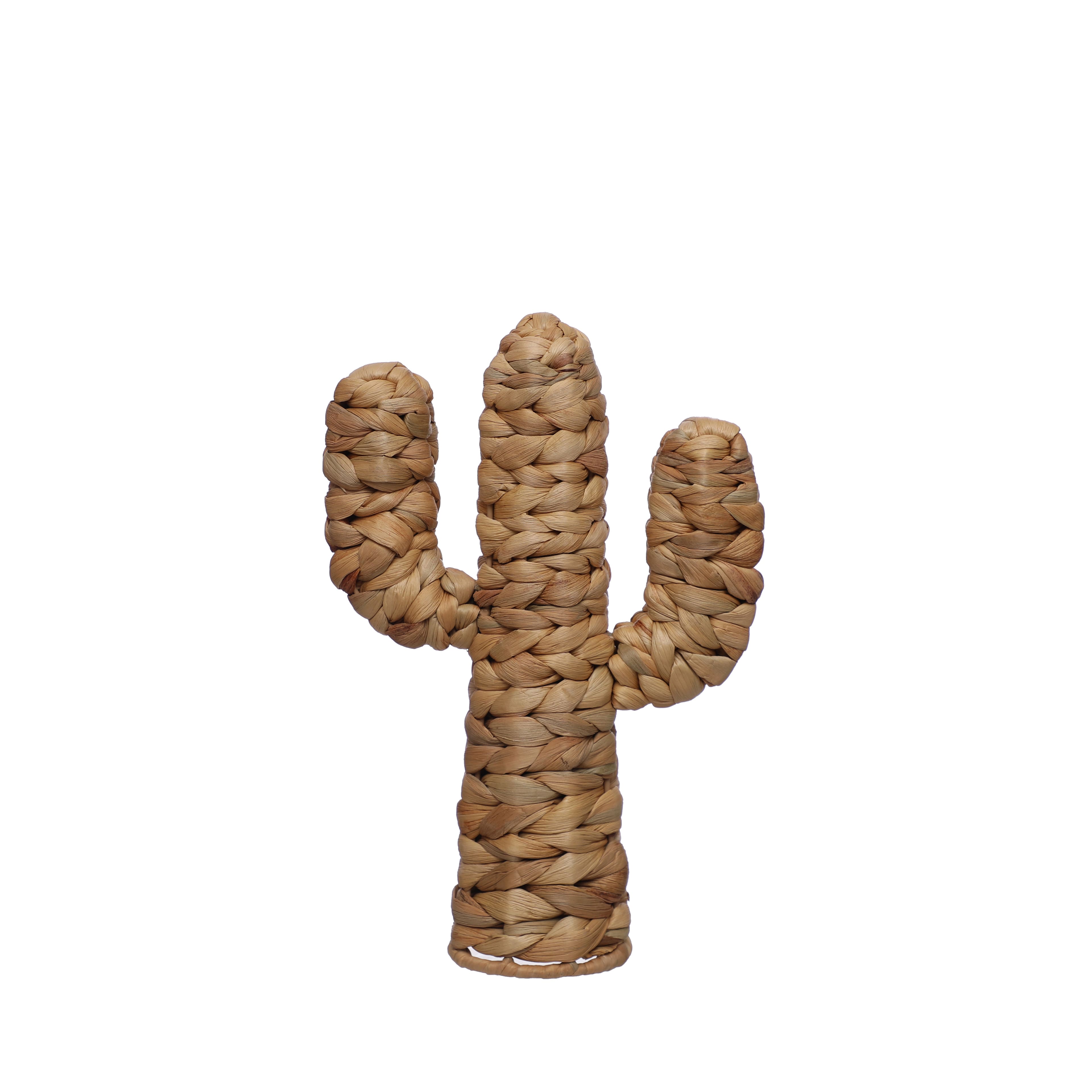 11.75&#x22; Water Hyacinth Cactus Tabletop D&#xE9;cor by Ashland&#xAE;