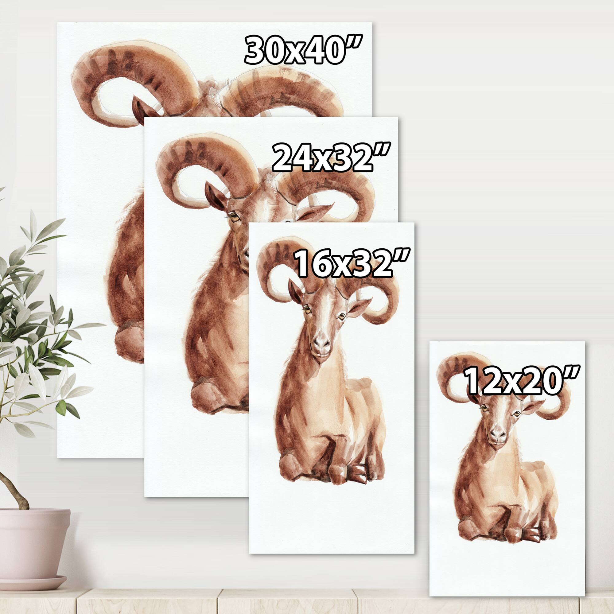 Designart - Portrait of Wild Ram With Mighty Horns II - Farmhouse Canvas Wall Art Print