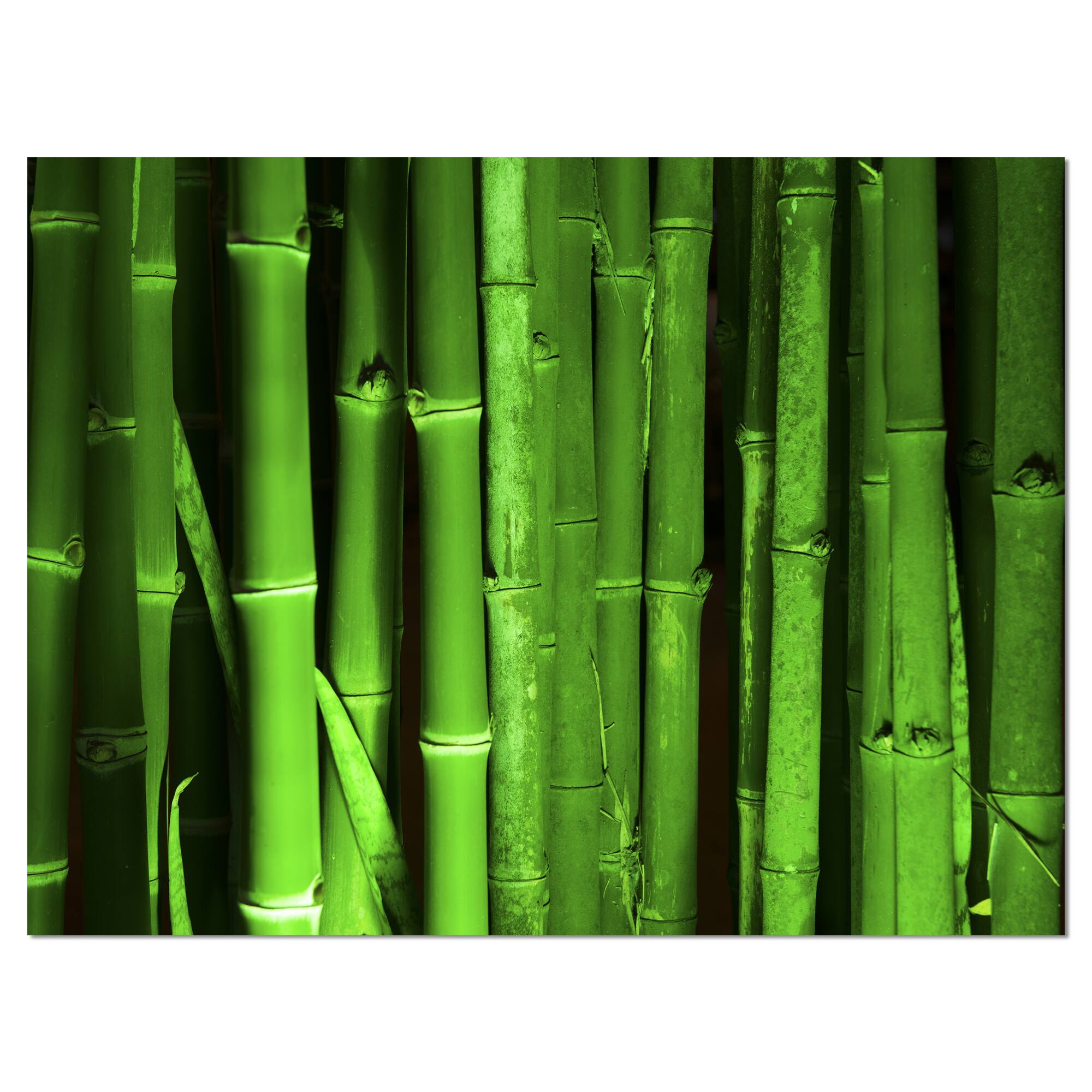 Designart - Green Bamboo Forest - Floral Canvas Art Print