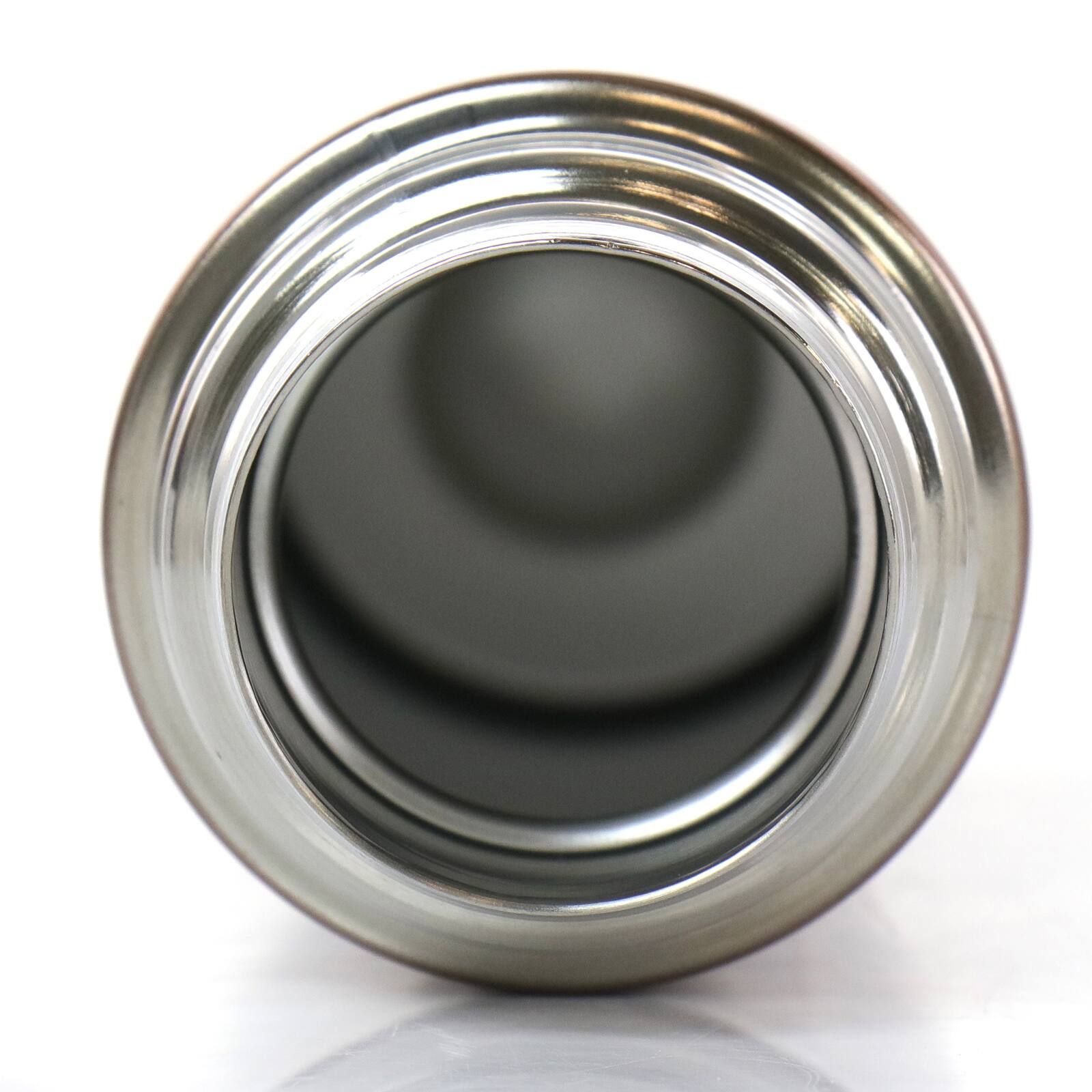 Gibson Home 16oz. Cassidy Leaf Thermal Bottle